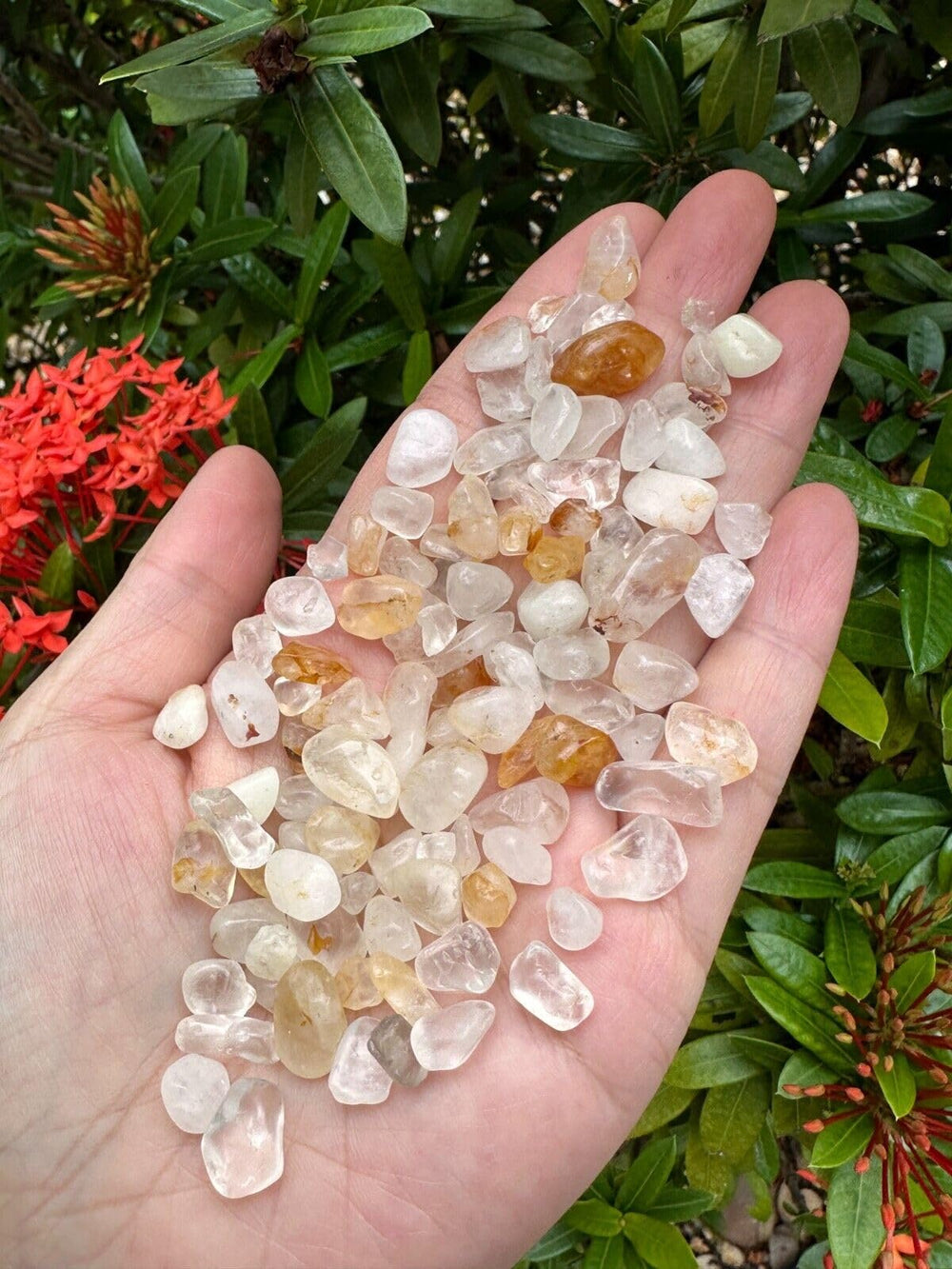 GAF TREASURES Golden Healer Quartz Chips semi-tumbled for smooth edges and shine.