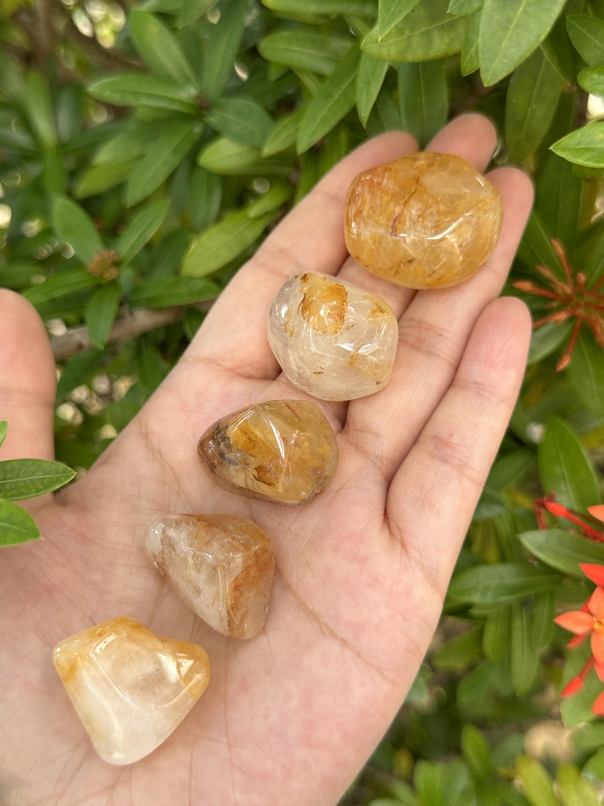 GAF Treasures Golden Healer Quartz tumbled stone calm energy for meditation