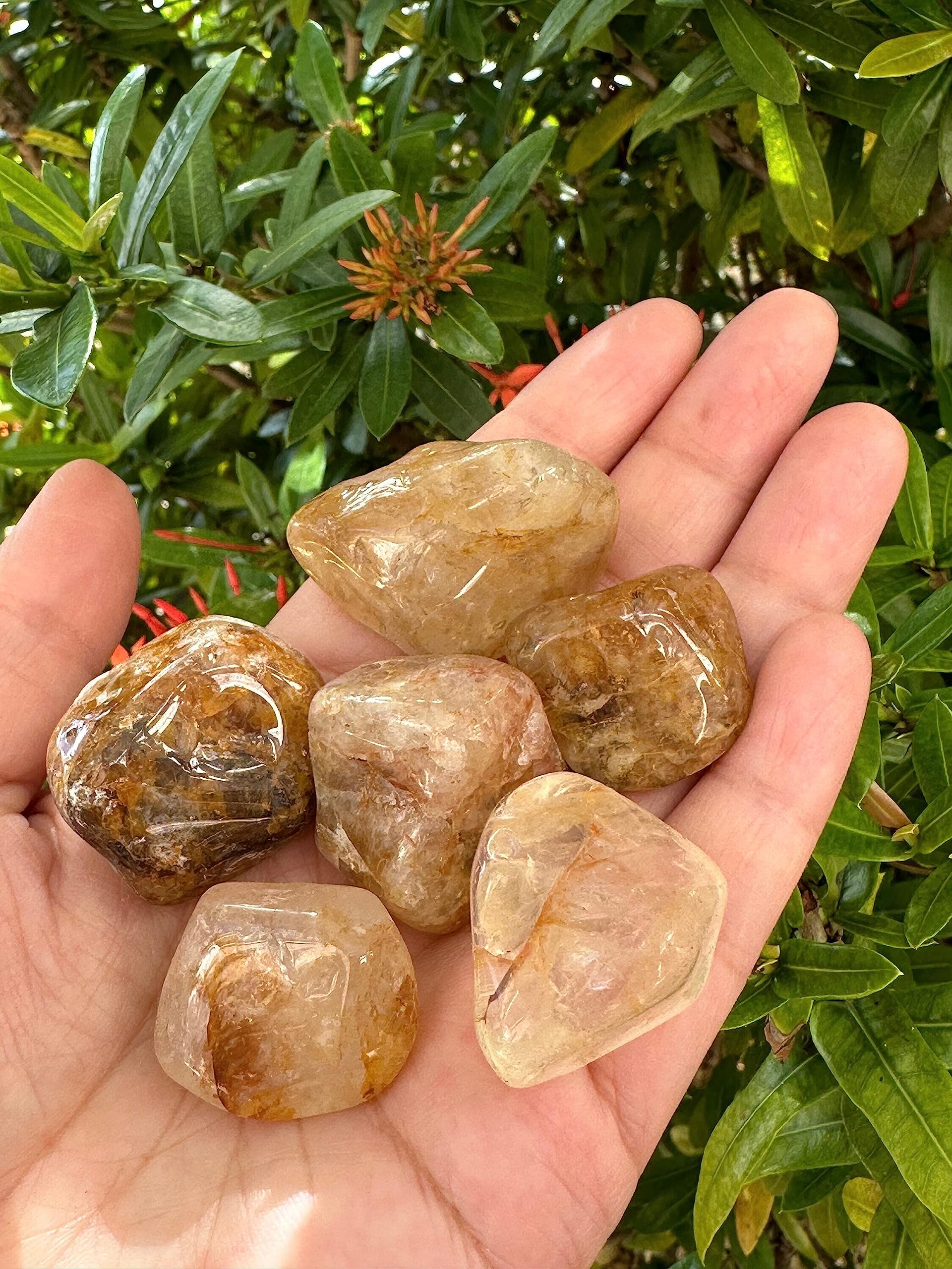 GAF TREASURES Golden Healer Quartz stones, size 0.75–1.25 inches