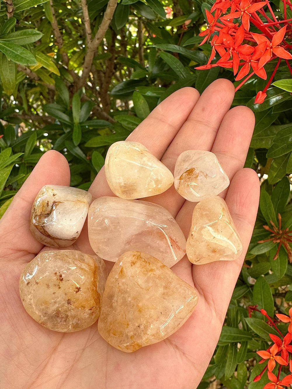 GAF TREASURES 0.5 lb pack, approx 12–15 stones