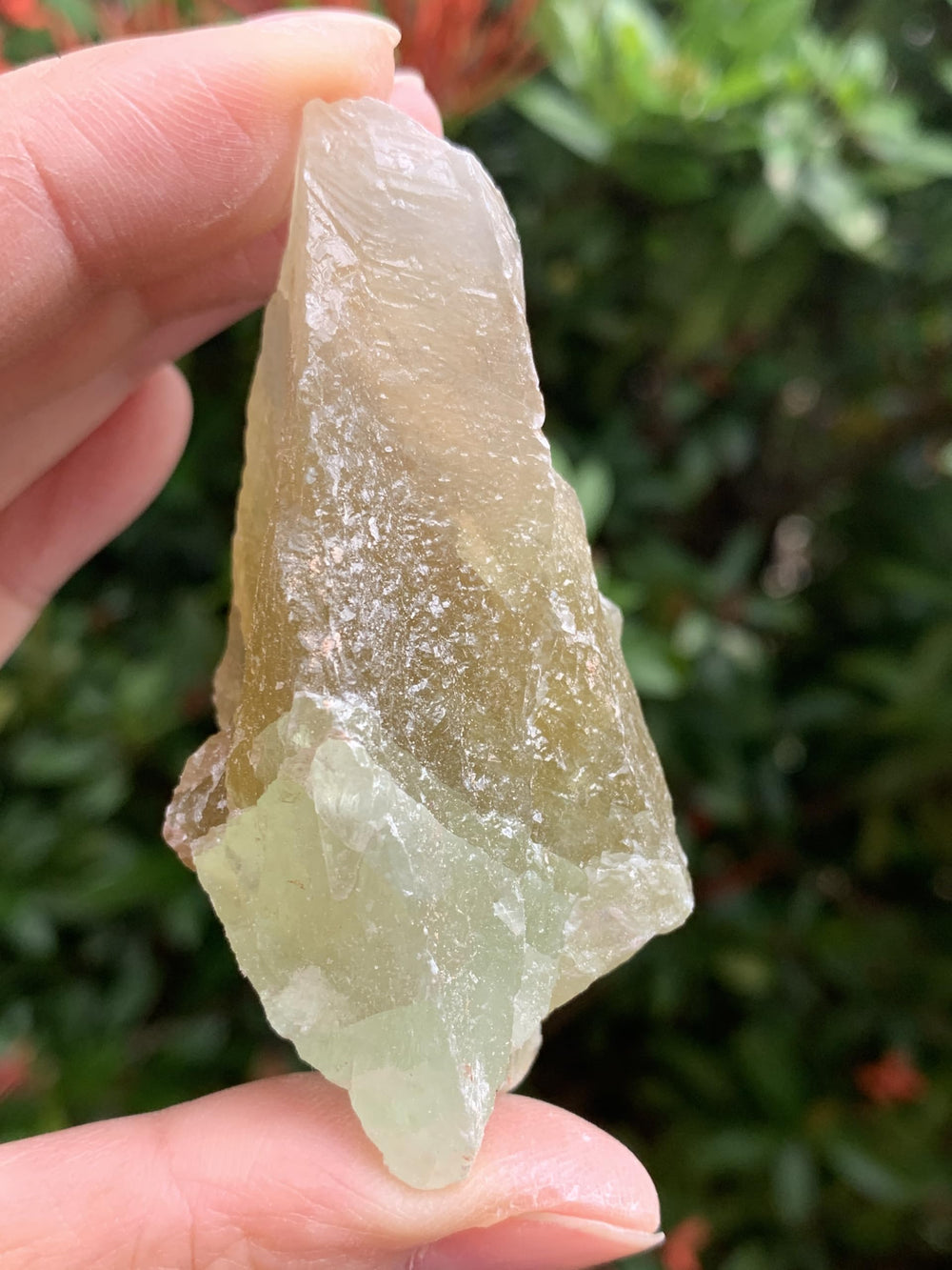 GAF TREASURES green calcite rough displayed for collection or meditation