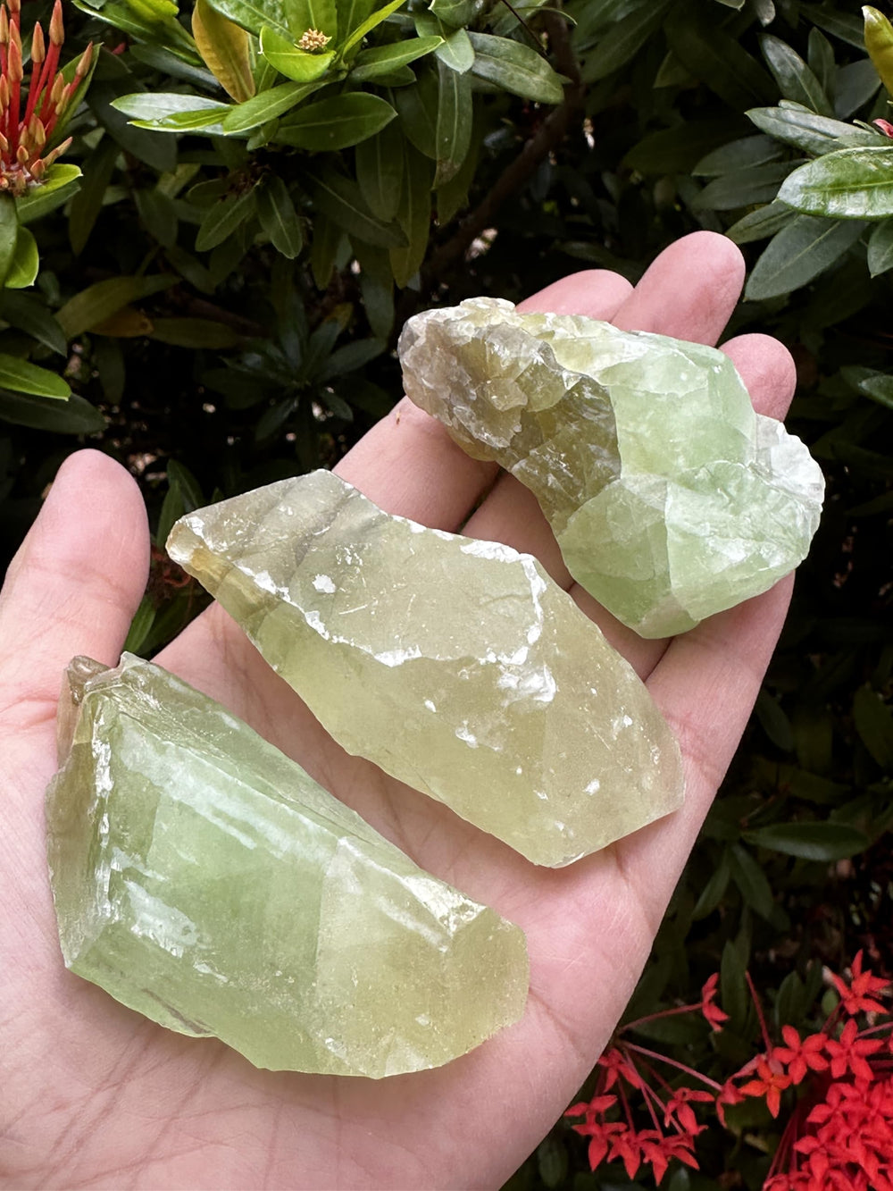 GAF TREASURES green calcite rough face with subtle banding and hue