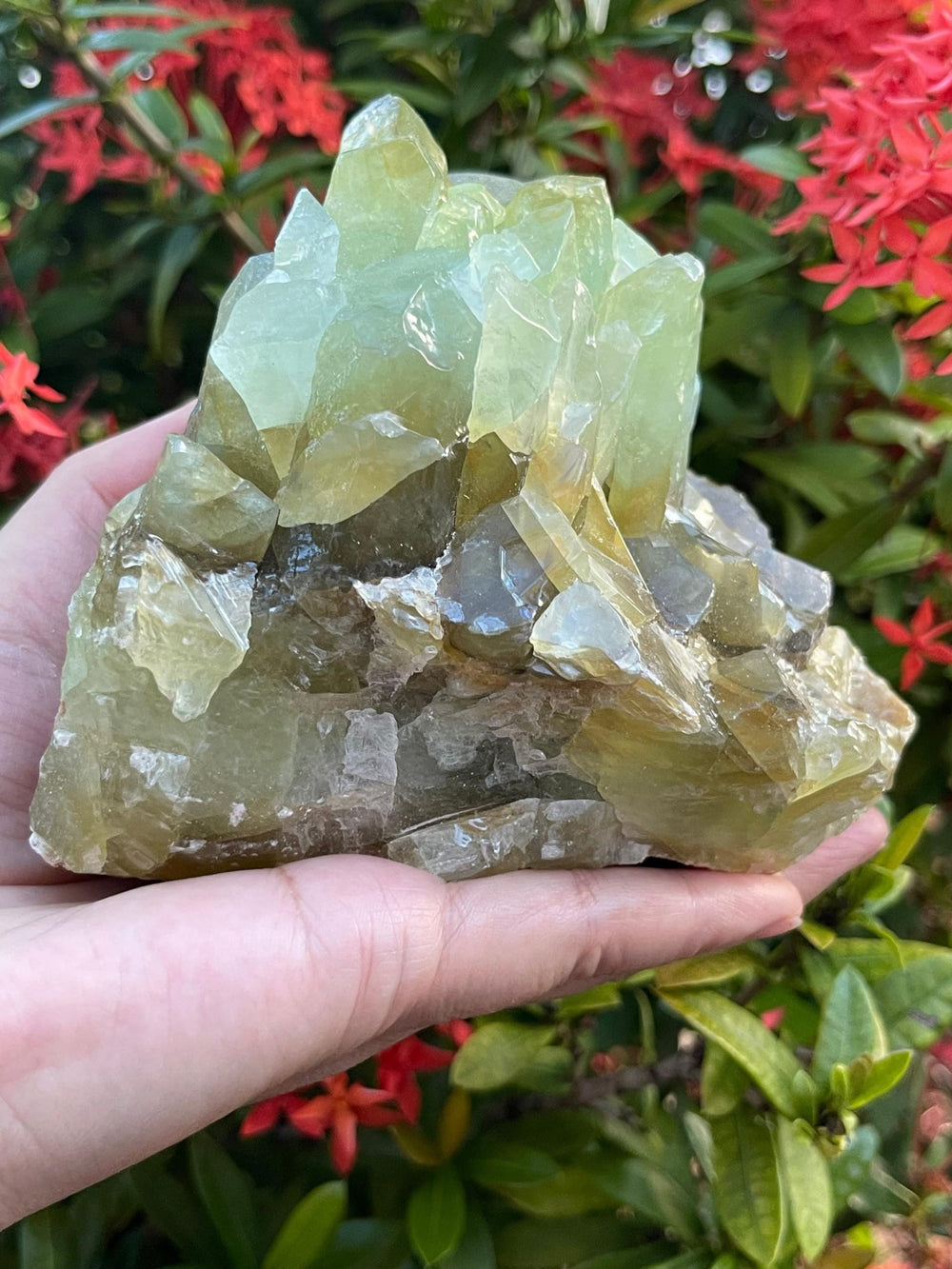 GAF TREASURES green calcite varied hues ideal for wire wrapping and jewelry.