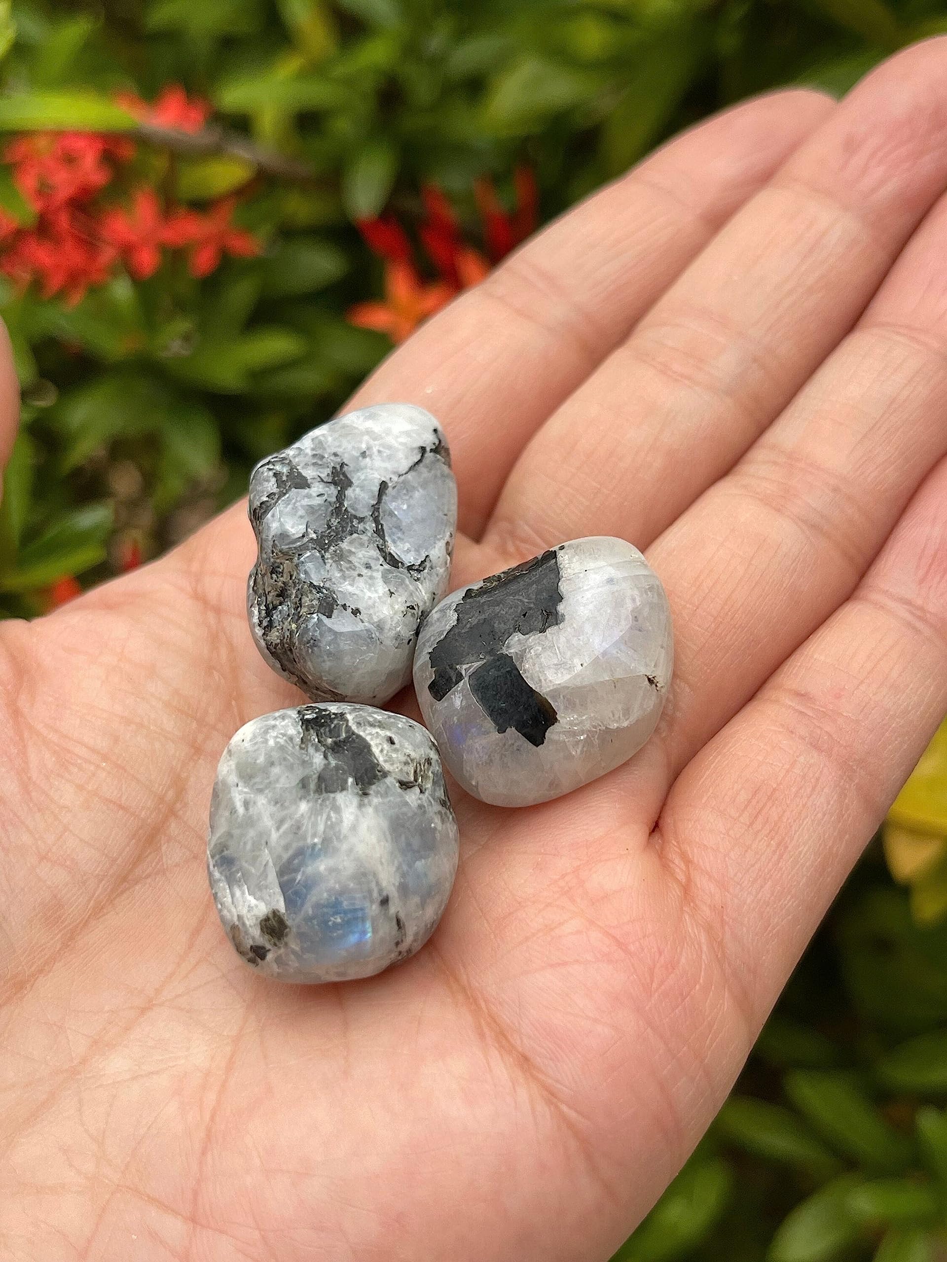 GAF TREASURES natural rainbow moonstone with unique patterns and colors.