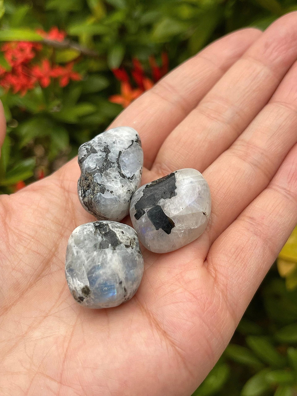 GAF TREASURES natural rainbow moonstone with unique patterns and colors.