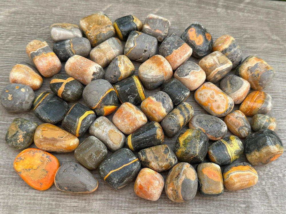 GAF Treasures Bumble Bee Jasper stones polished for pocket carry and daily focus.