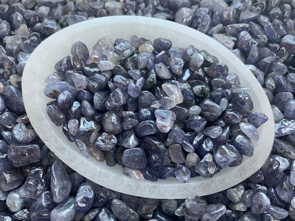 GAF TREASURES iolite chips add natural color to air plants and vases.