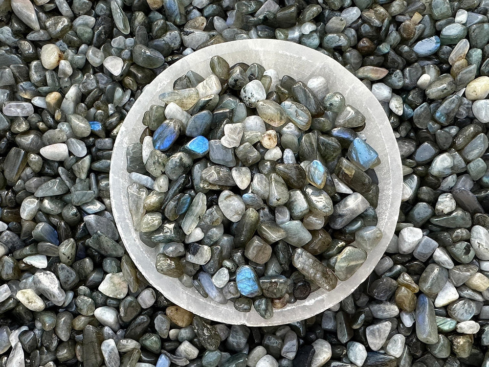 GAF TREASURES Labradorite Blue Chips ideal for jewelry crafting with smooth semi-tumbled surfaces.