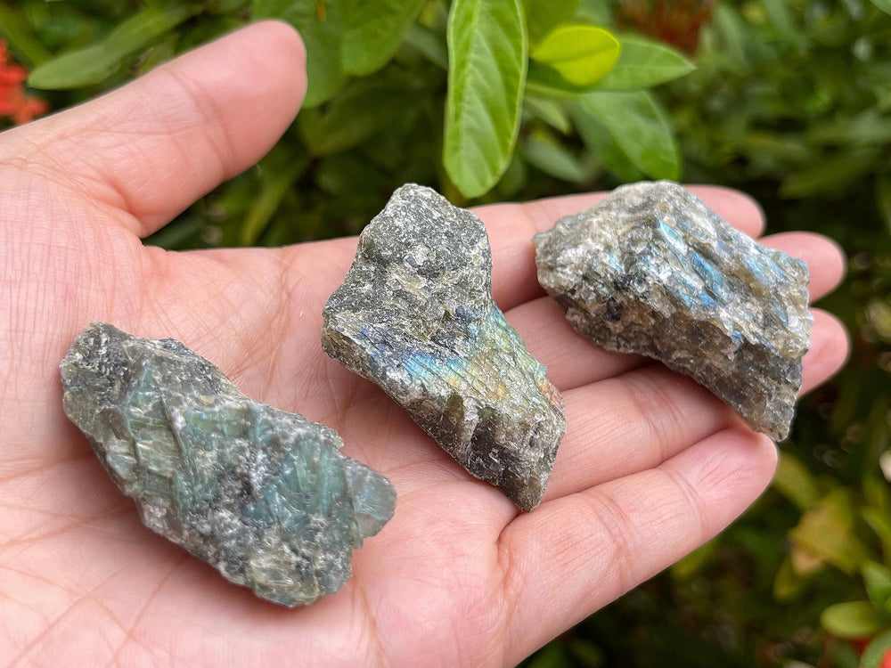 GAF TREASURES Labradorite rough stone with iridescent sheen, ideal for display and meditation.