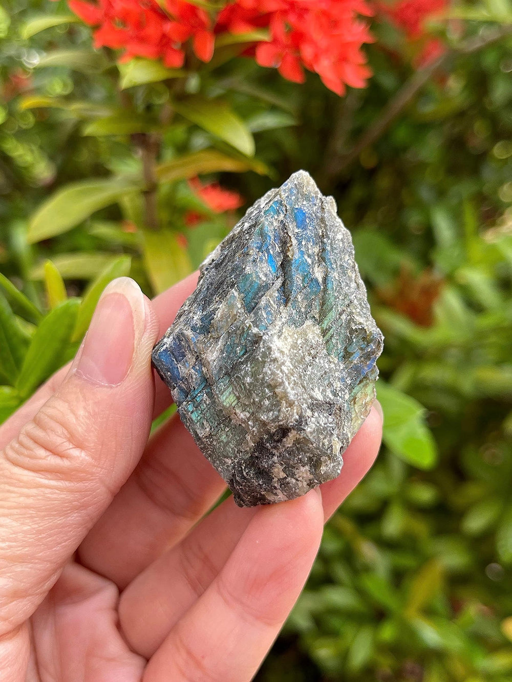 GAF TREASURES Labradorite rough stone highlights natural textures and patterns.