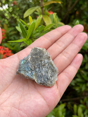 GAF TREASURES Labradorite rough stone with shimmering blues and greens, ideal for displays.