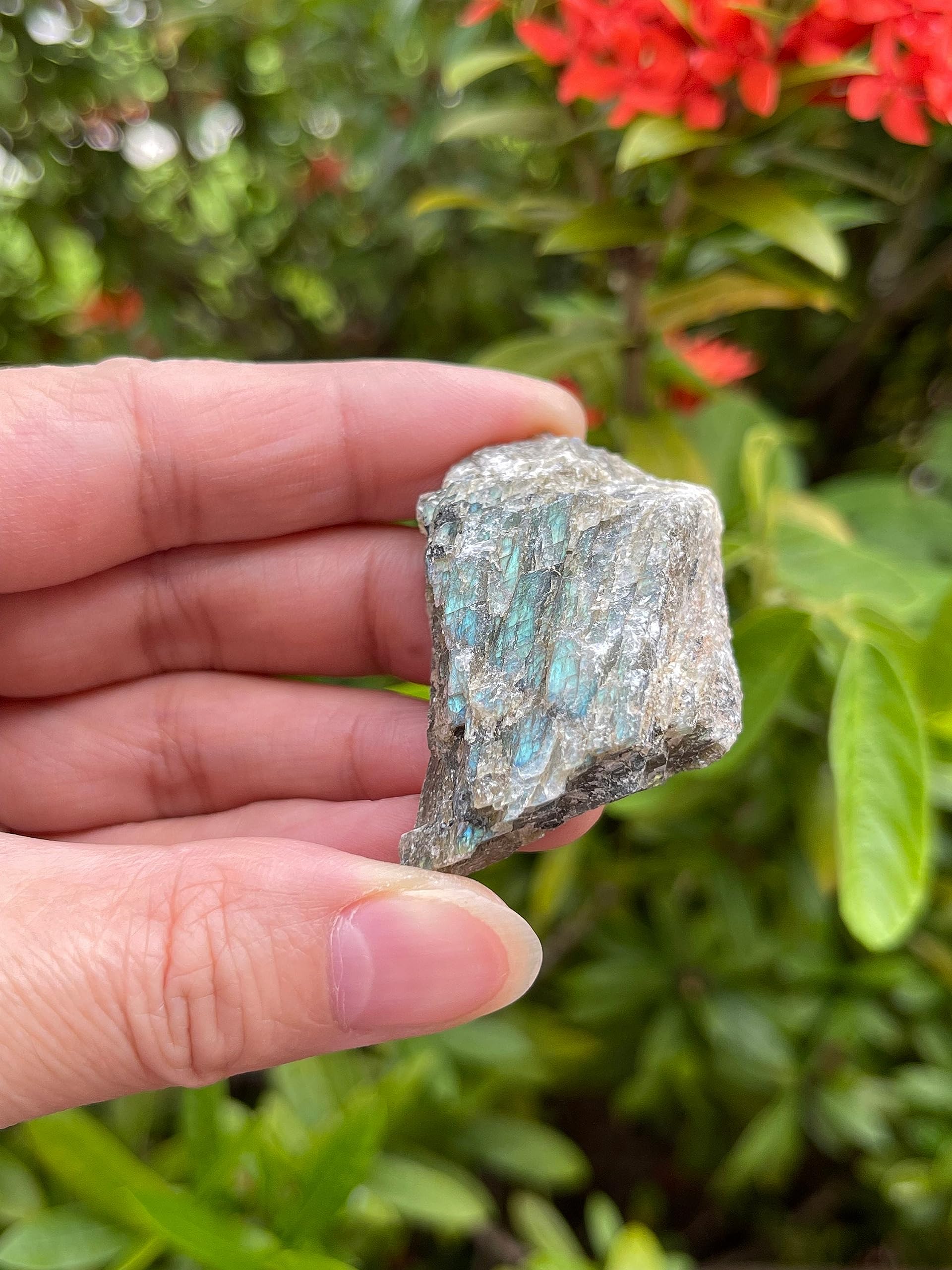 GAF TREASURES Labradorite rough stone compact piece for crafts (1 to 2 inches).