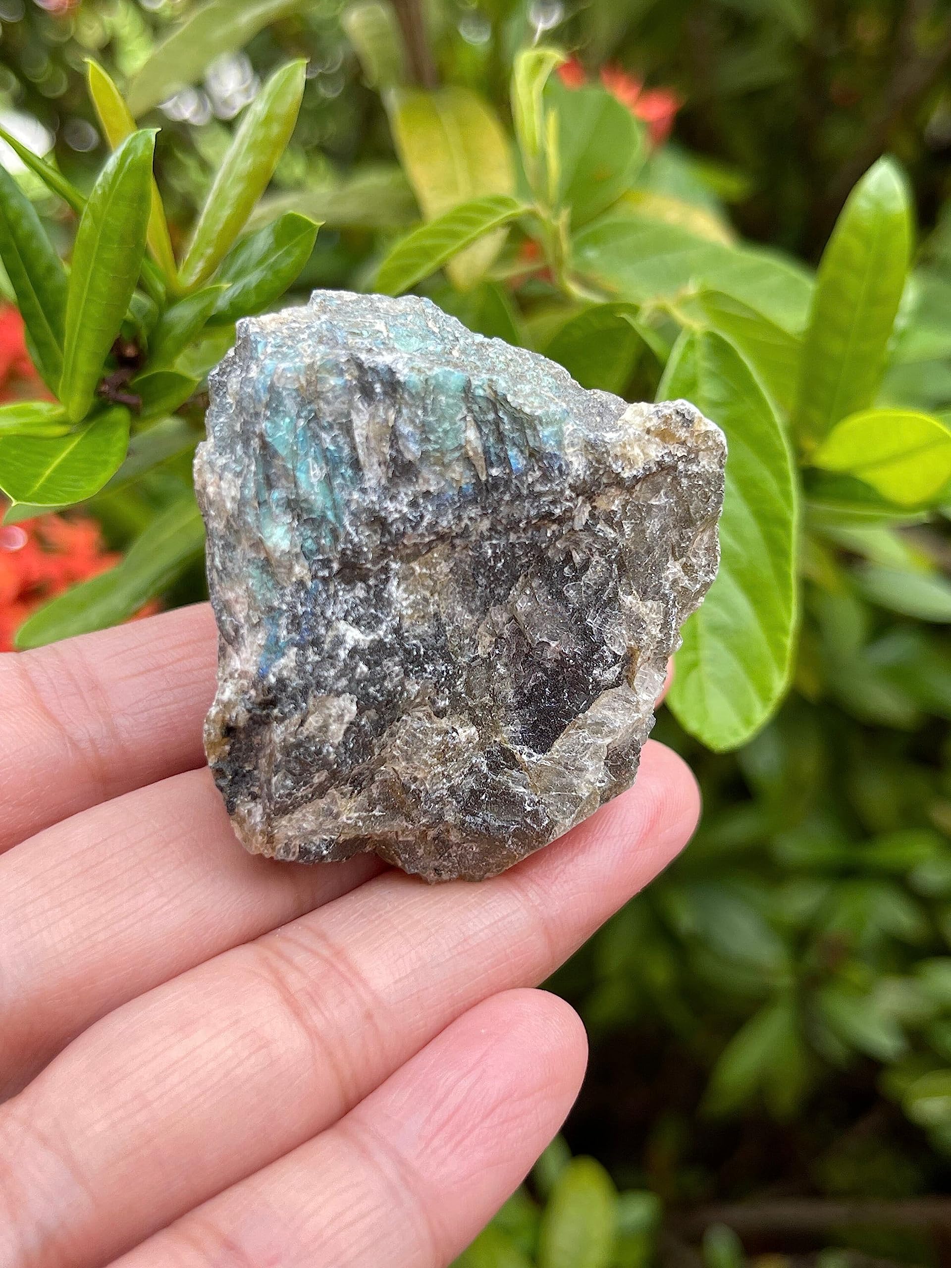 GAF TREASURES Labradorite rough stone with subtle dust, a sign of natural origin.
