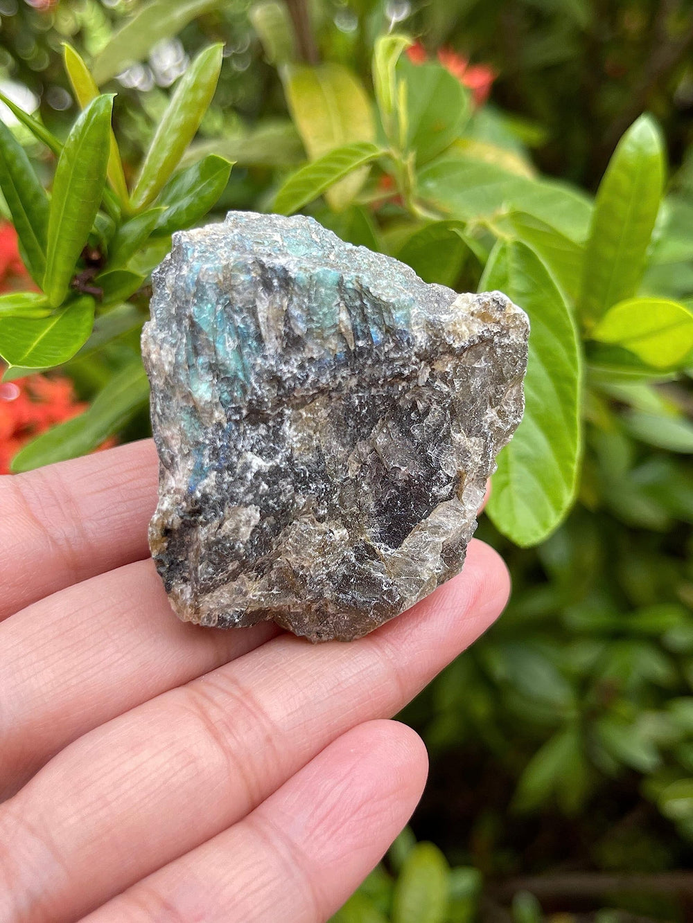 GAF TREASURES Labradorite rough stone with subtle dust, a sign of natural origin.