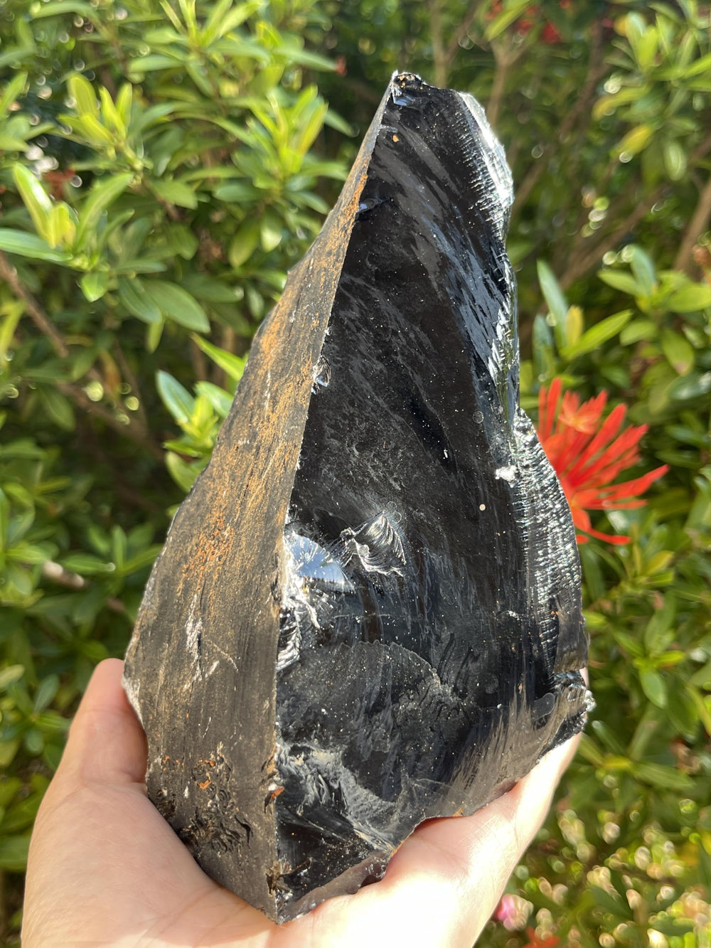 GAF TREASURES extra large obsidian stone weight variety for dramatic shelves