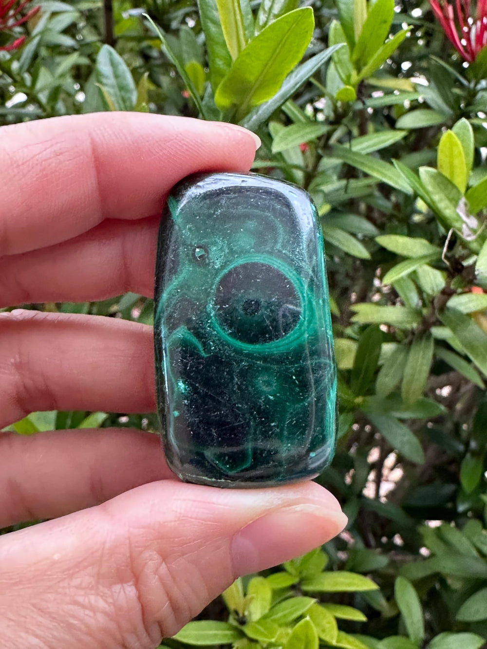 GAF TREASURES natural malachite stone with unique color variations
