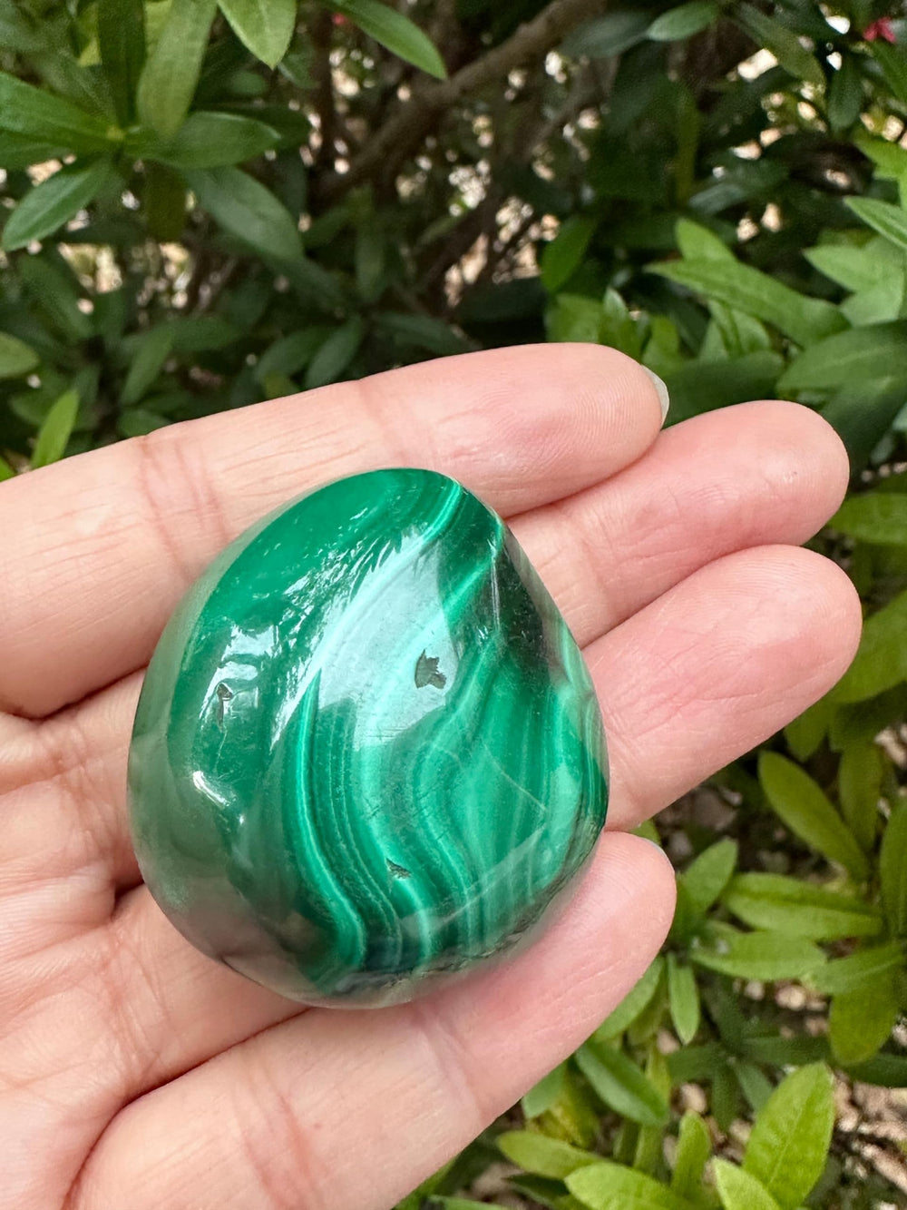 GAF TREASURES malachite palm stone ideal for holding during meditation