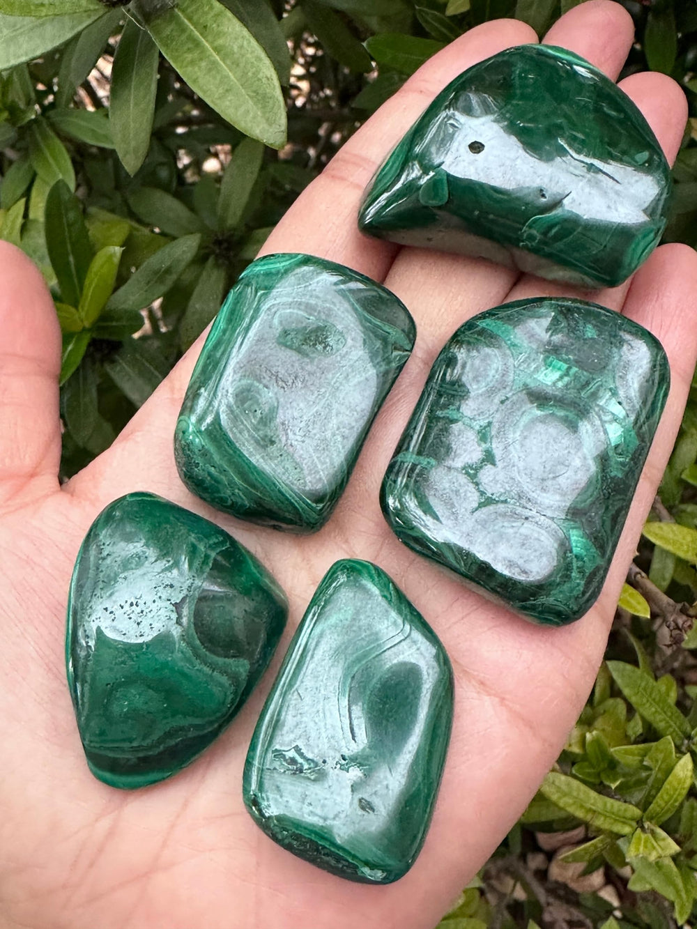 GAF TREASURES malachite with natural veining for crystal grids