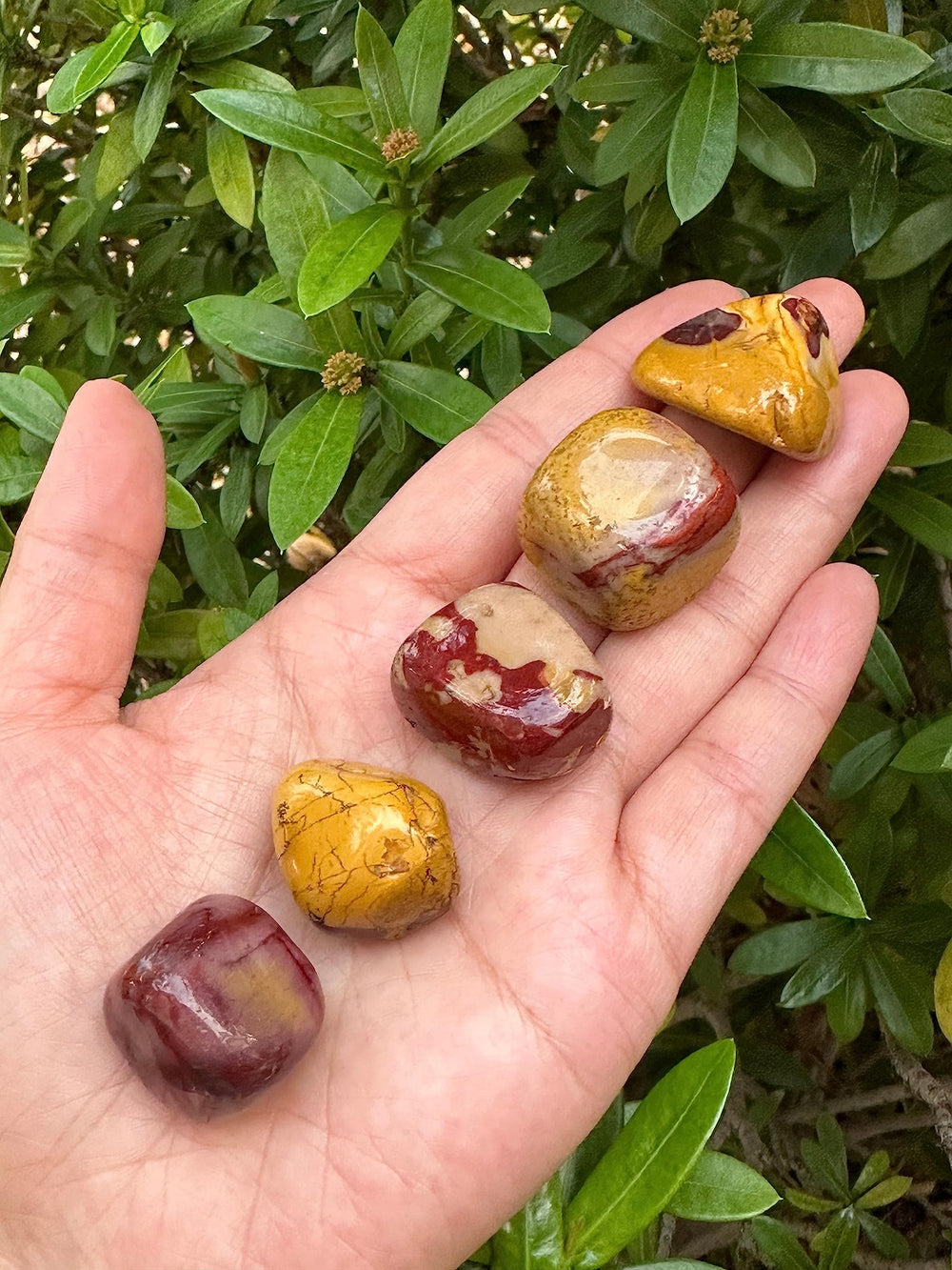 GAF TREASURES Mookaite stones sized 0.75-1.25 inches for easy handling