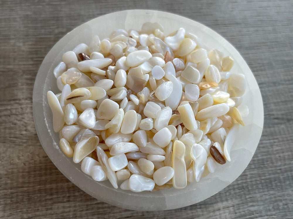 GAF Treasures Mother of Pearl chips suitable for air plant substrates and vases.
