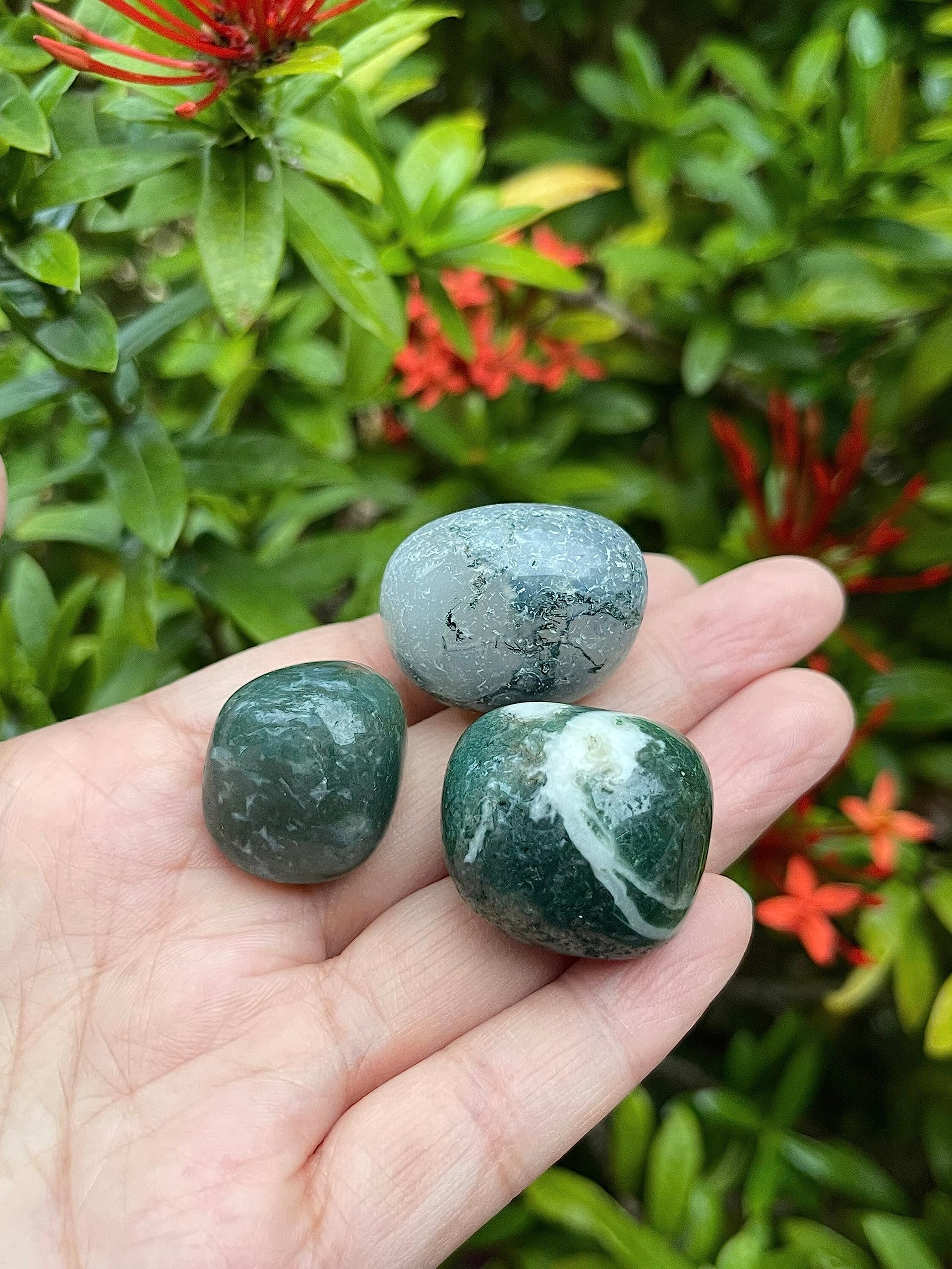 GAF Treasures Moss Agate stones with polished shine for display