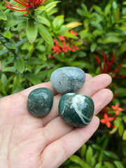GAF Treasures Moss Agate stones with polished shine for display