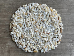 GAF TREASURES Mother of Pearl chips 5mm-18mm versatile sizes for craft assemblies and inlays.