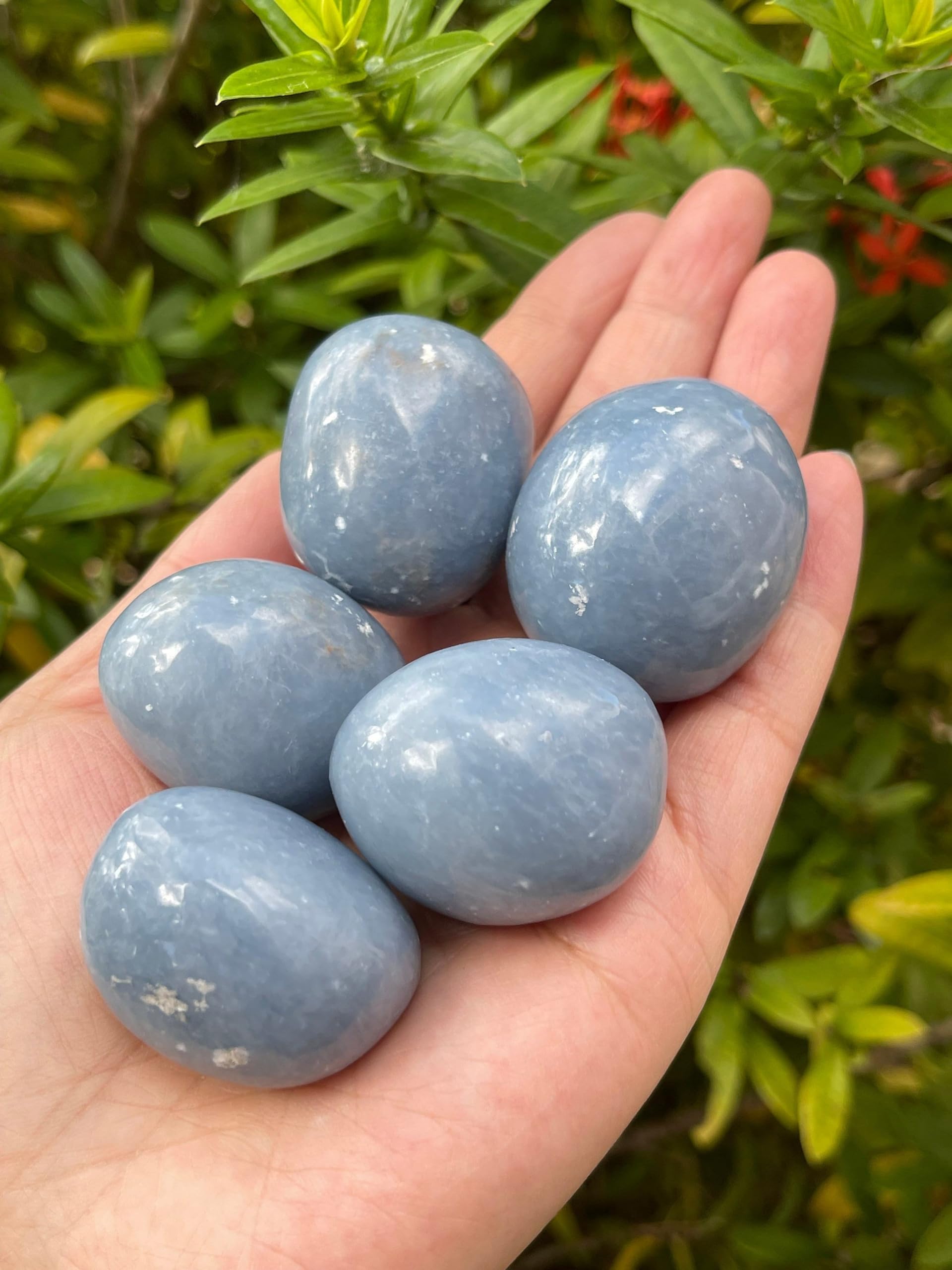 GAF TREASURES Natural Angelite variety with varying shapes and patterns