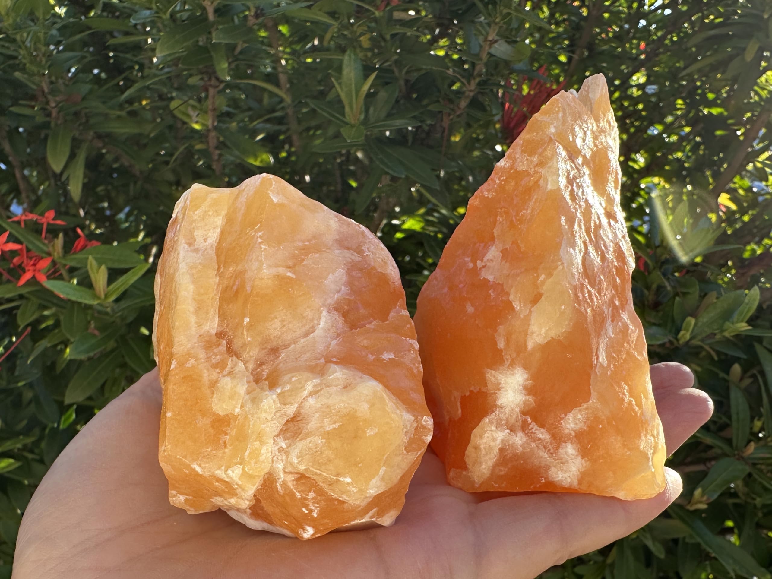 GAF TREASURES orange calcite rough stone for display and creative energy.