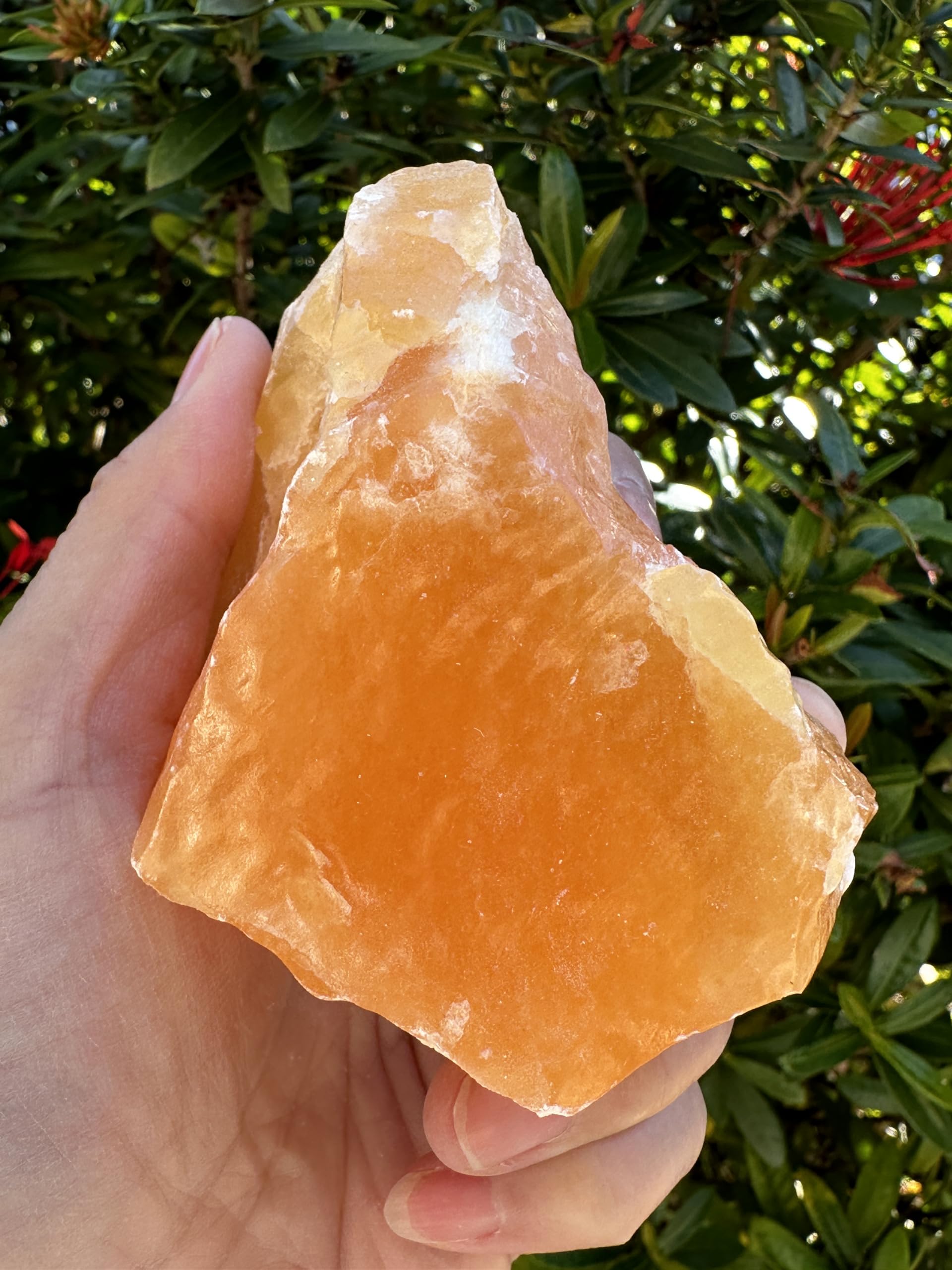 GAF TREASURES orange calcite rough stone on display shelf for natural decor.