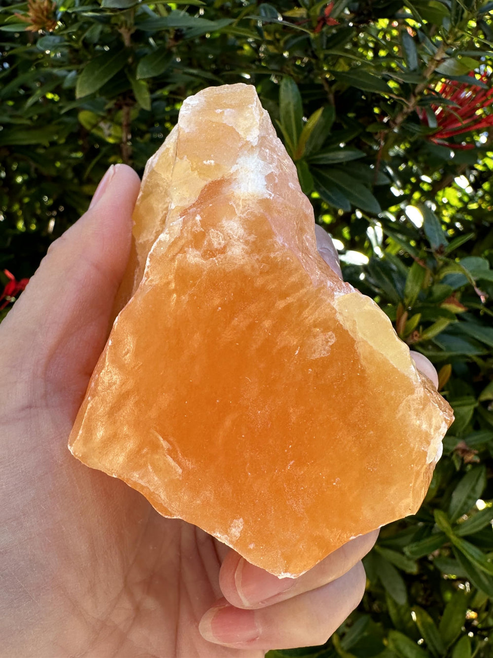 GAF TREASURES orange calcite rough stone on display shelf for natural decor.