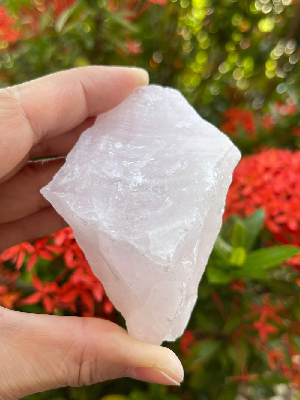 GAF TREASURES Pink Calcite Rough natural hue variations on display shelf