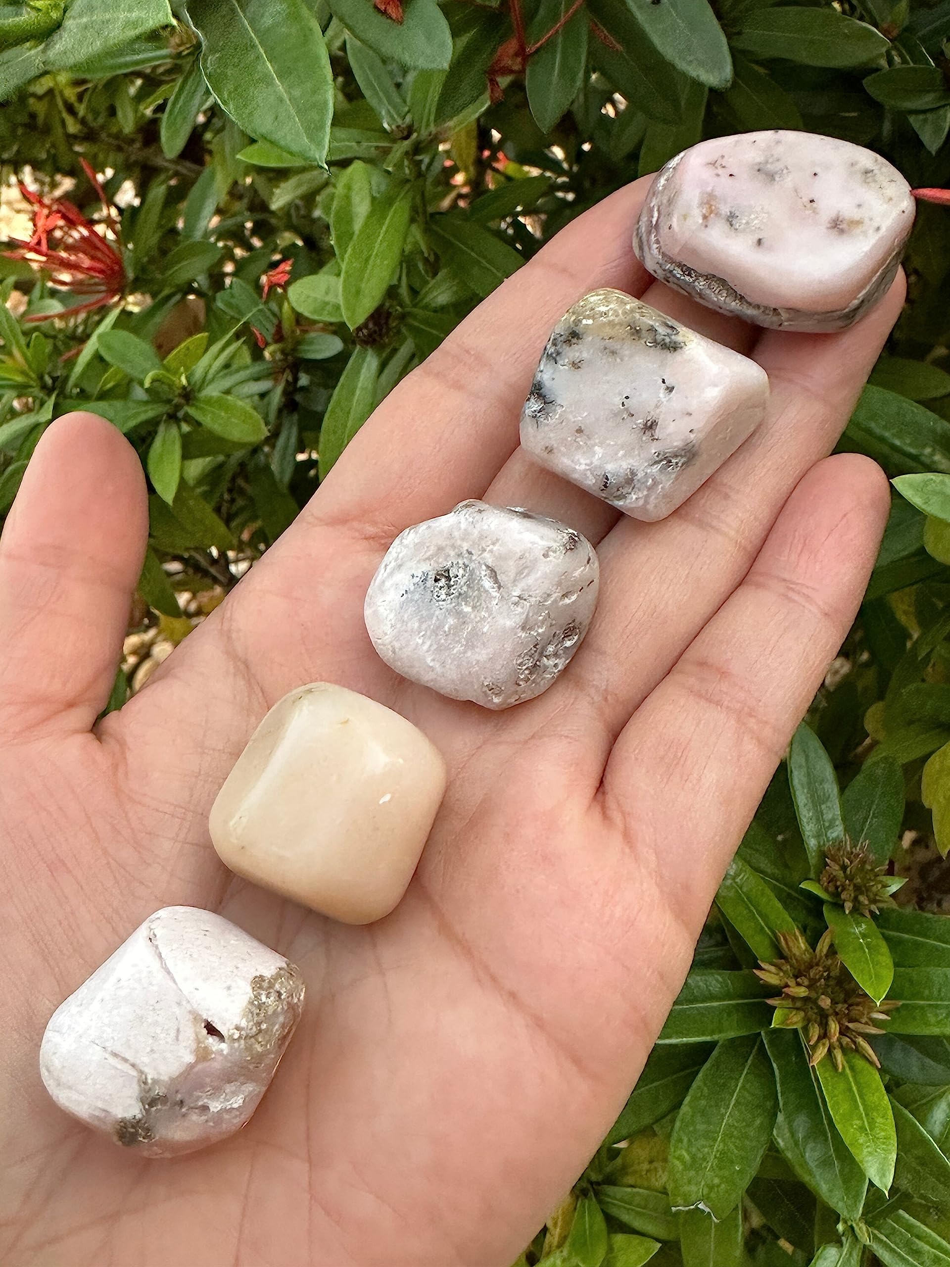 GAF Treasures Pink Opal stones arranged in a grid for energy work.