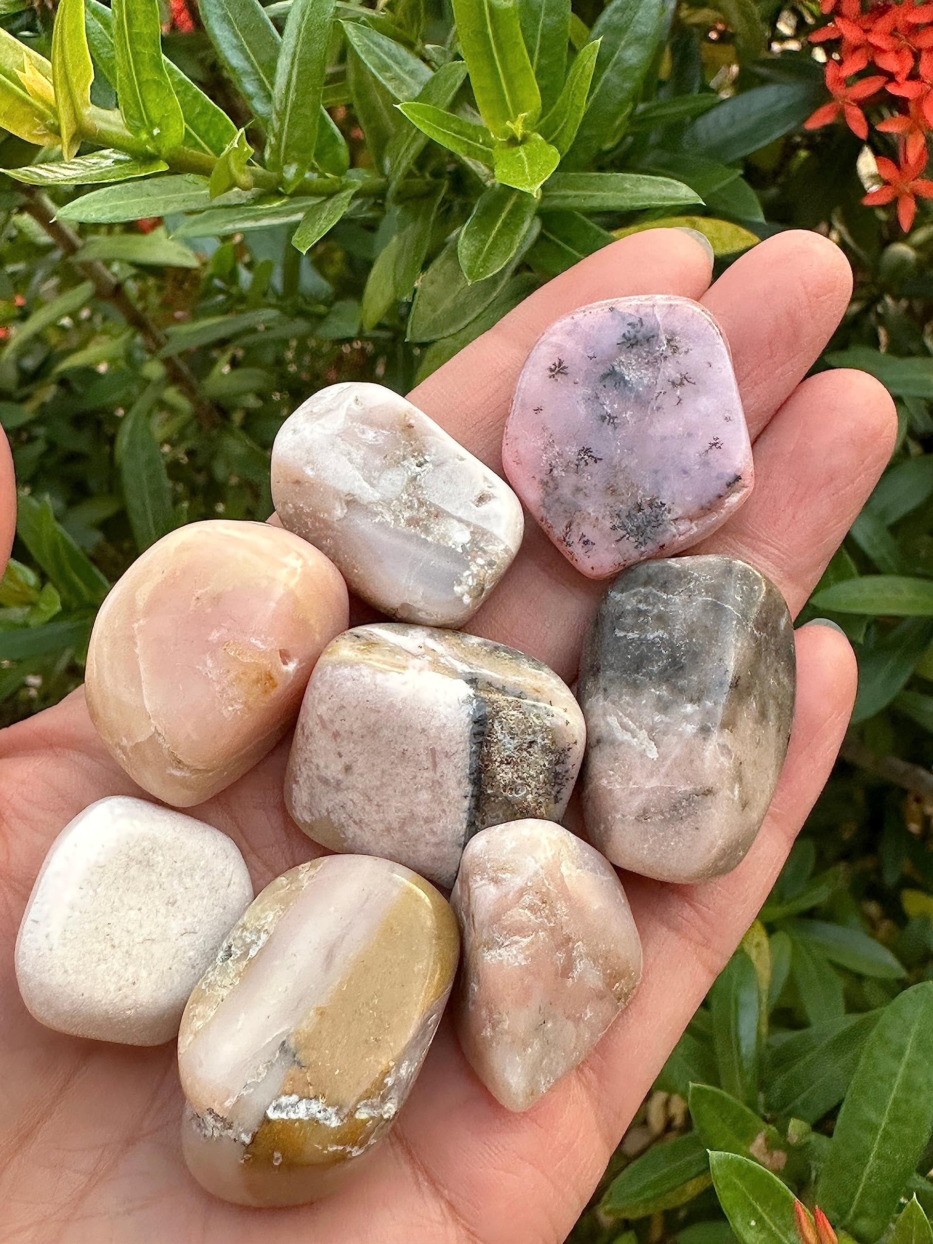 GAF Treasures Pink Opal stones shine under warm lighting.