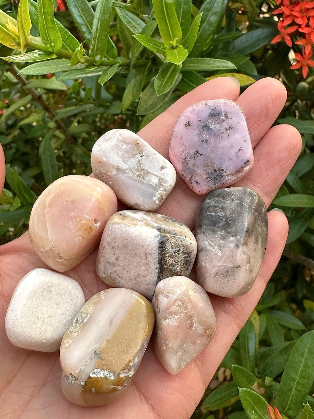 GAF Treasures Pink Opal stones shine under warm lighting.