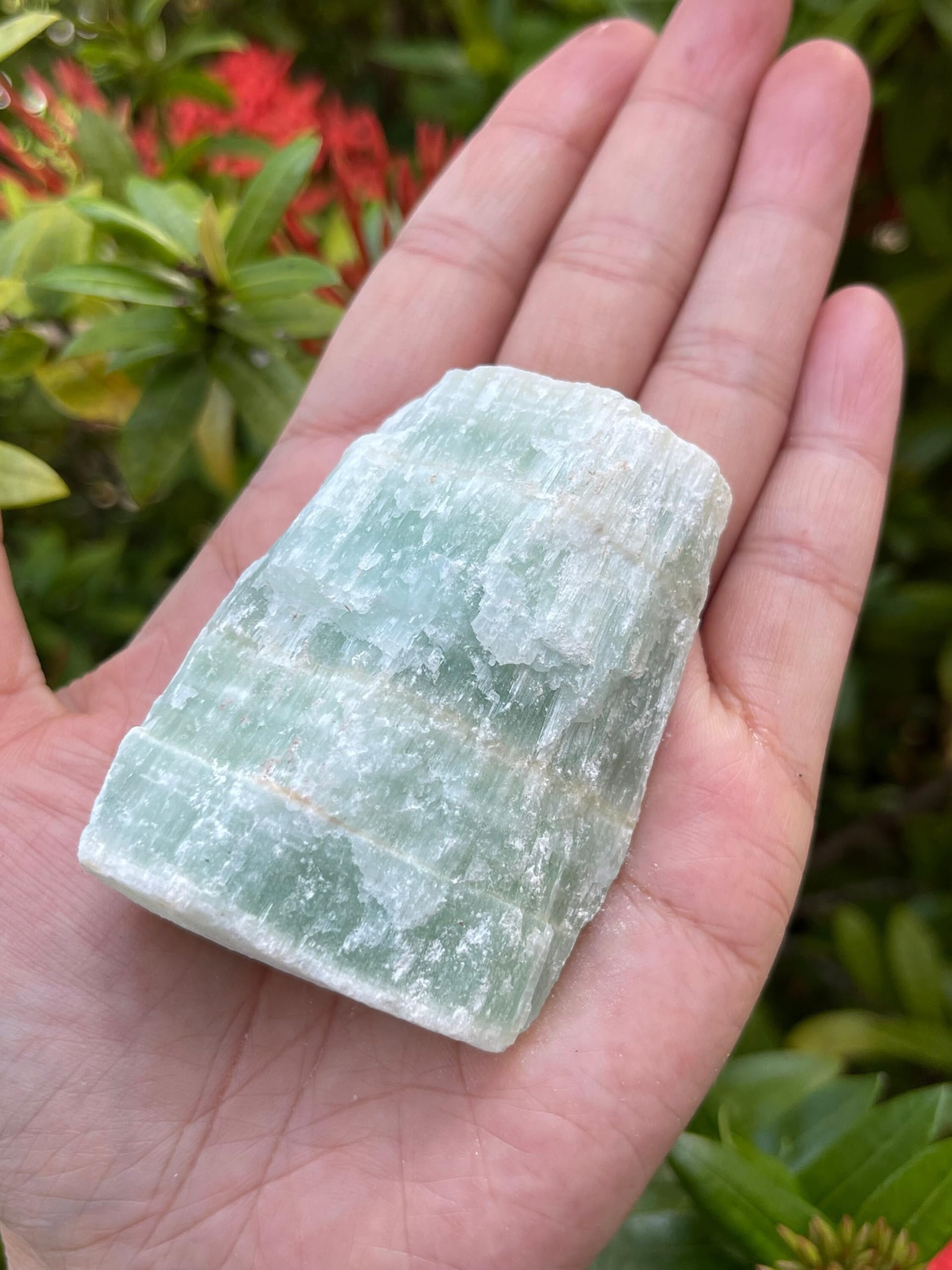 GAF TREASURES Pistachio Calcite rough stone 2-3 inches ideal for display or collection.