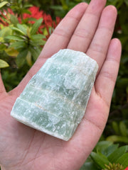 GAF TREASURES Pistachio Calcite rough stone 2-3 inches ideal for display or collection.