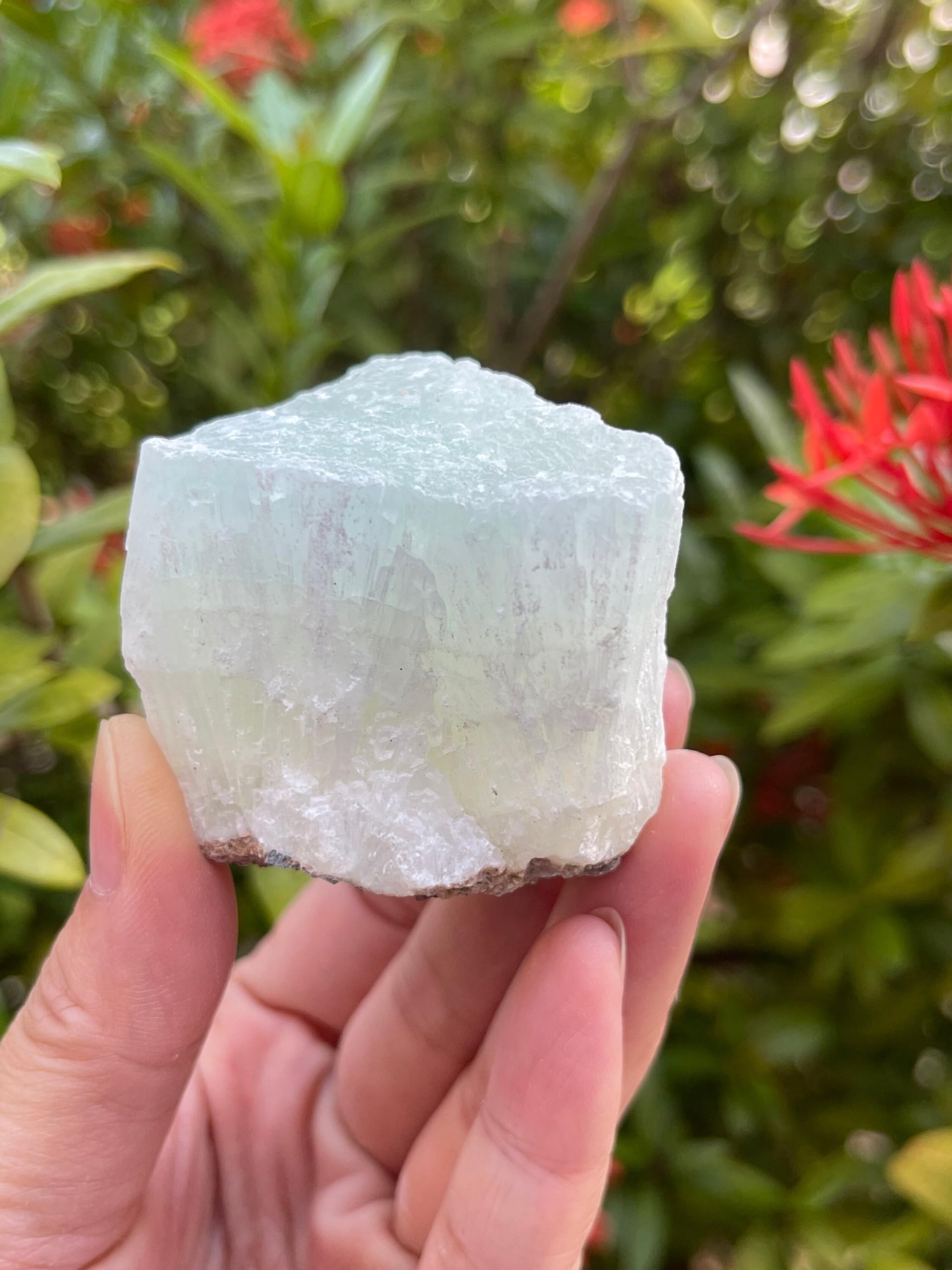 GAF TREASURES Pistachio Calcite rough natural stone with unique patterns for lapidary work.