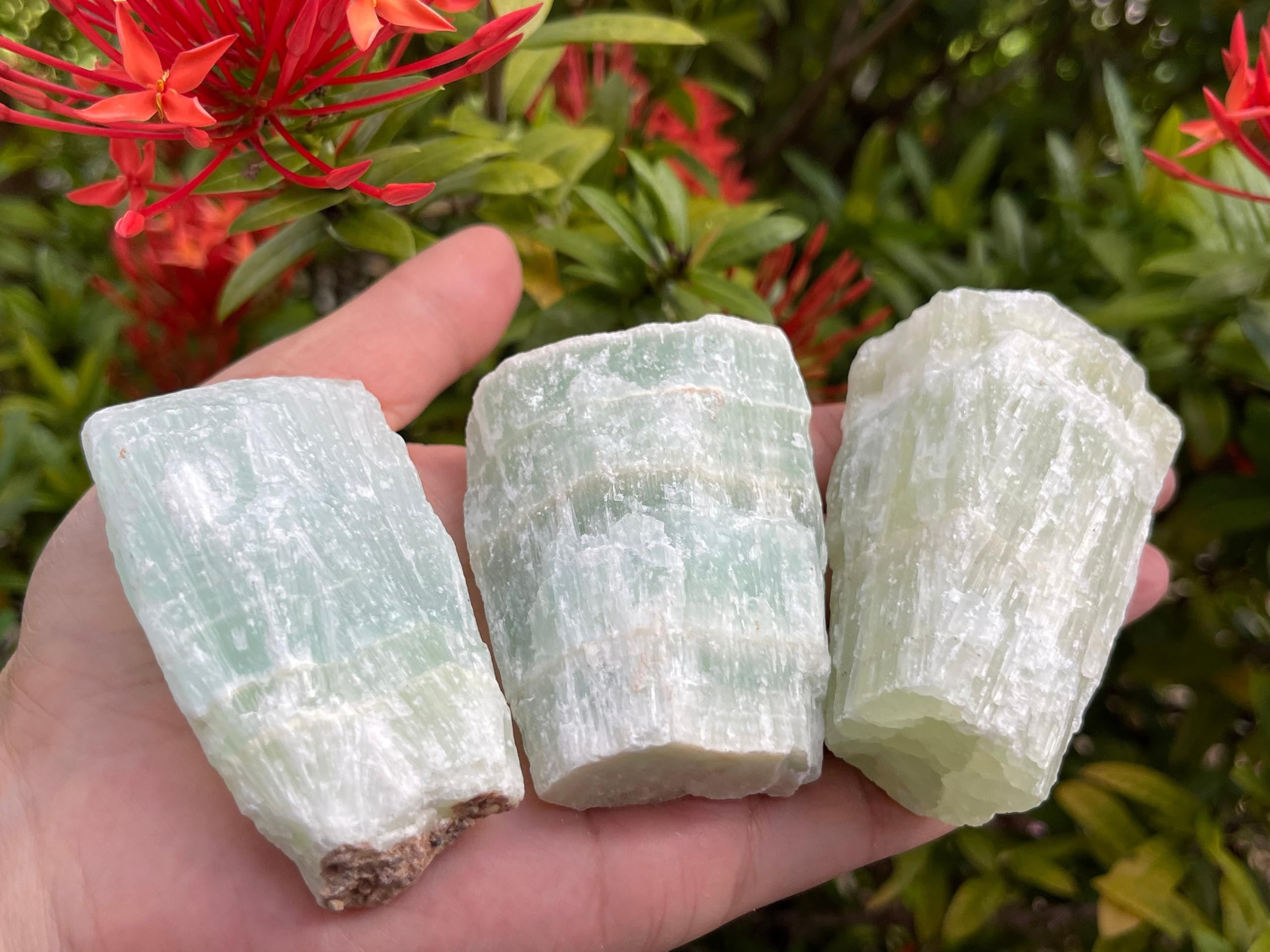 GAF TREASURES Pistachio Calcite rough rock from Mexico, perfect for cabbing and polishing.
