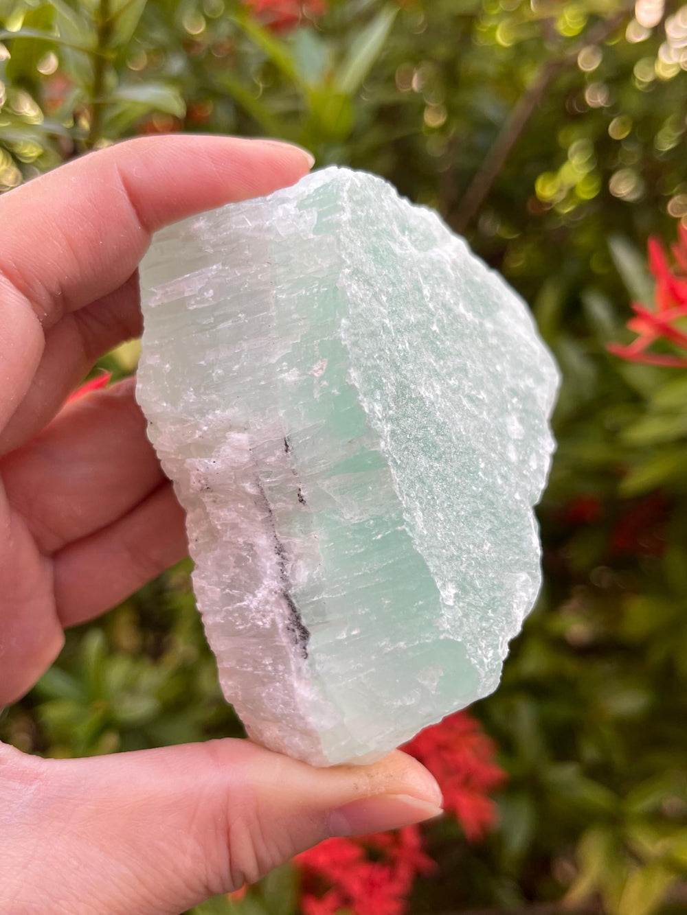 GAF TREASURES Pistachio Calcite raw stone with calming natural tones for display.
