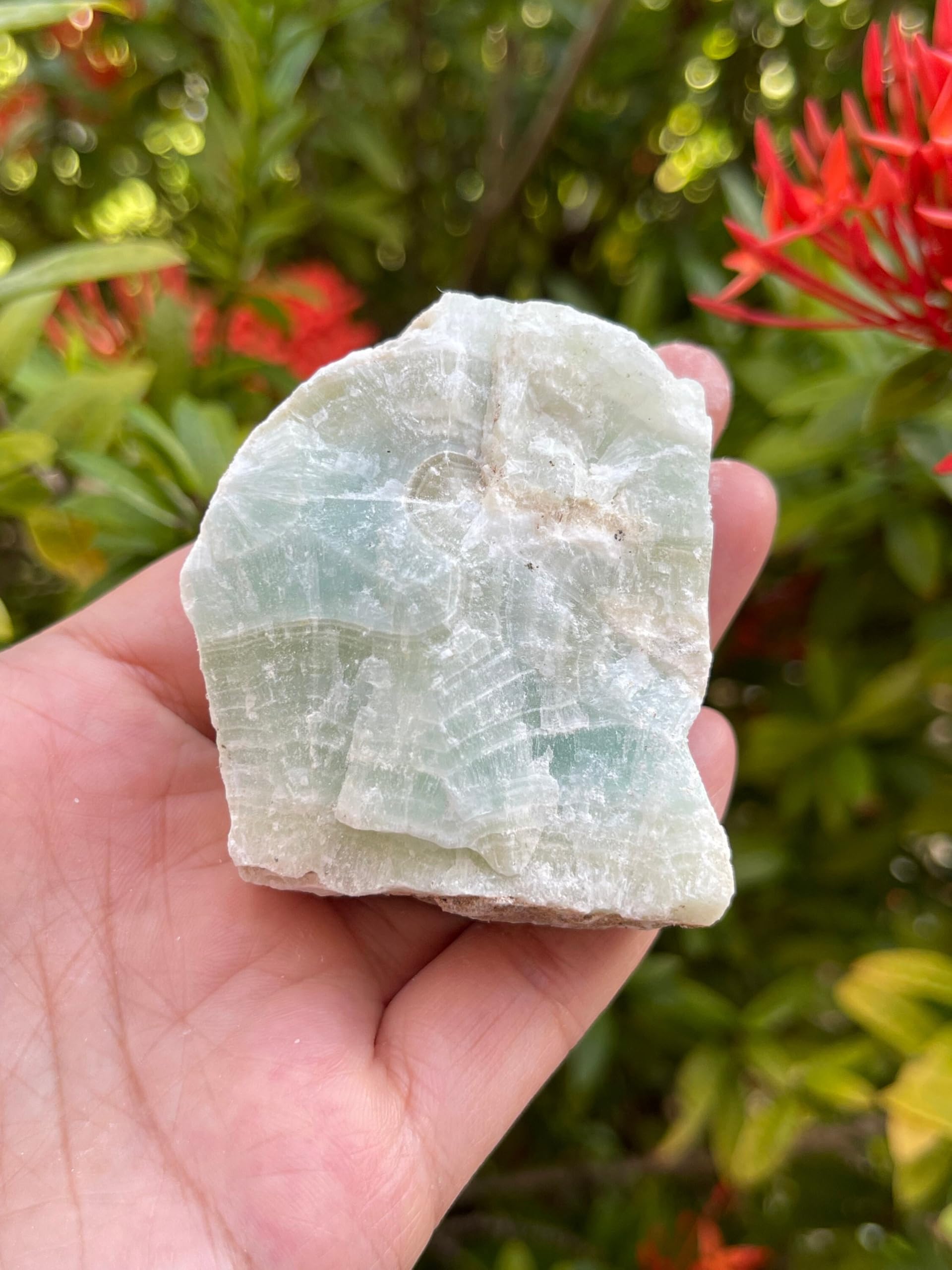 GAF TREASURES Pistachio Calcite specimen highlights natural beauty for display shelves.