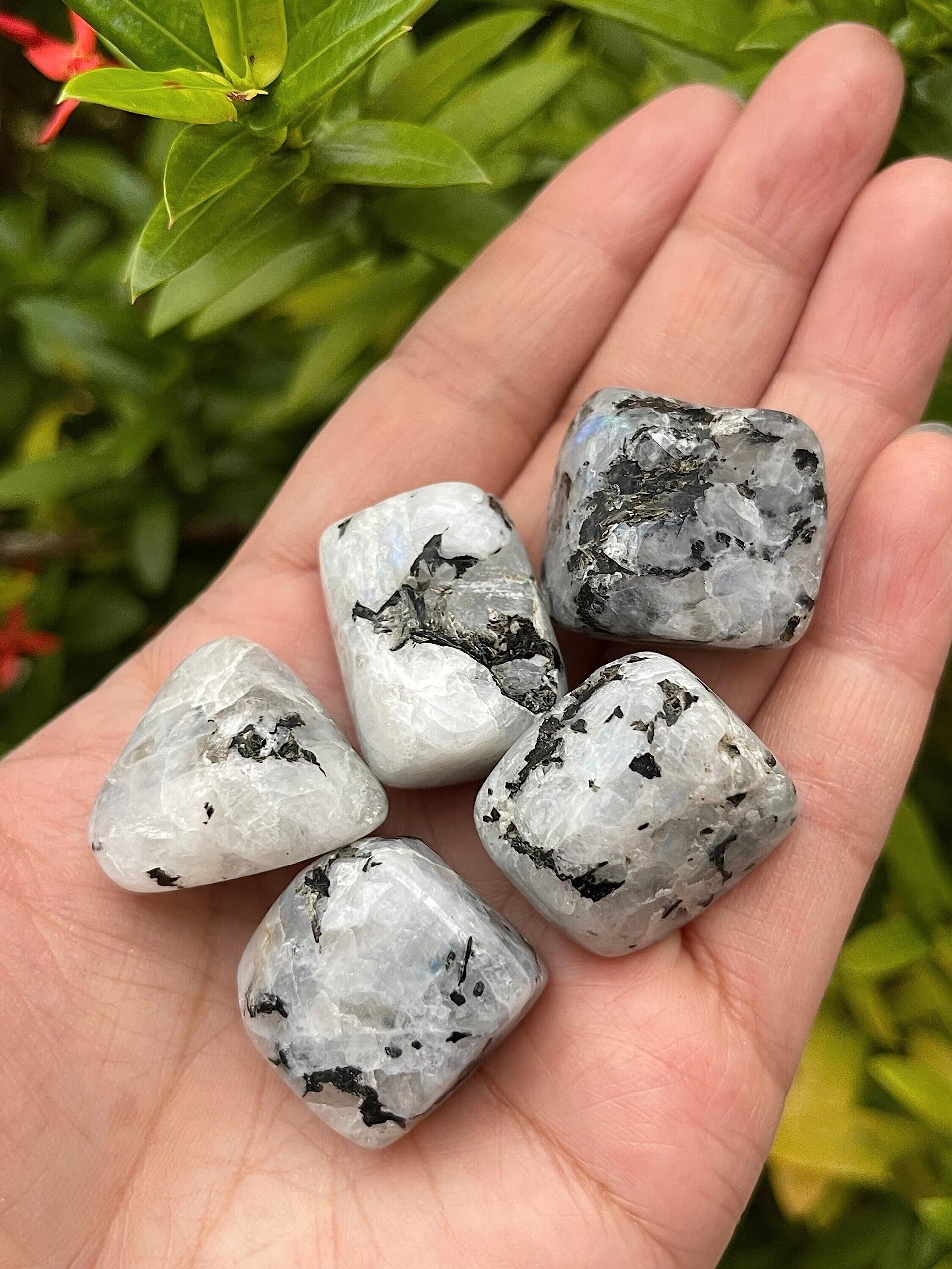 GAF TREASURES rainbow moonstone for grid work and energy rituals.