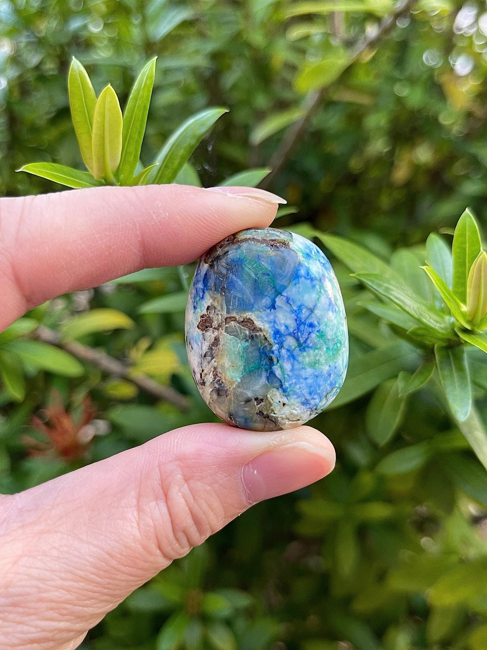 GAF TREASURES polished azurite malachite rocks with vibrant veining for display.