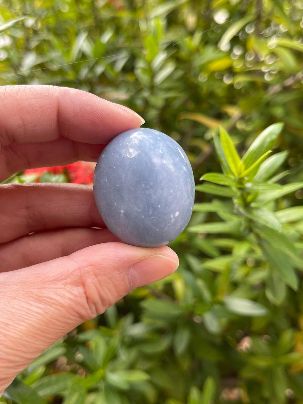 GAF TREASURES Angelite crystal polished blue for crystal grids