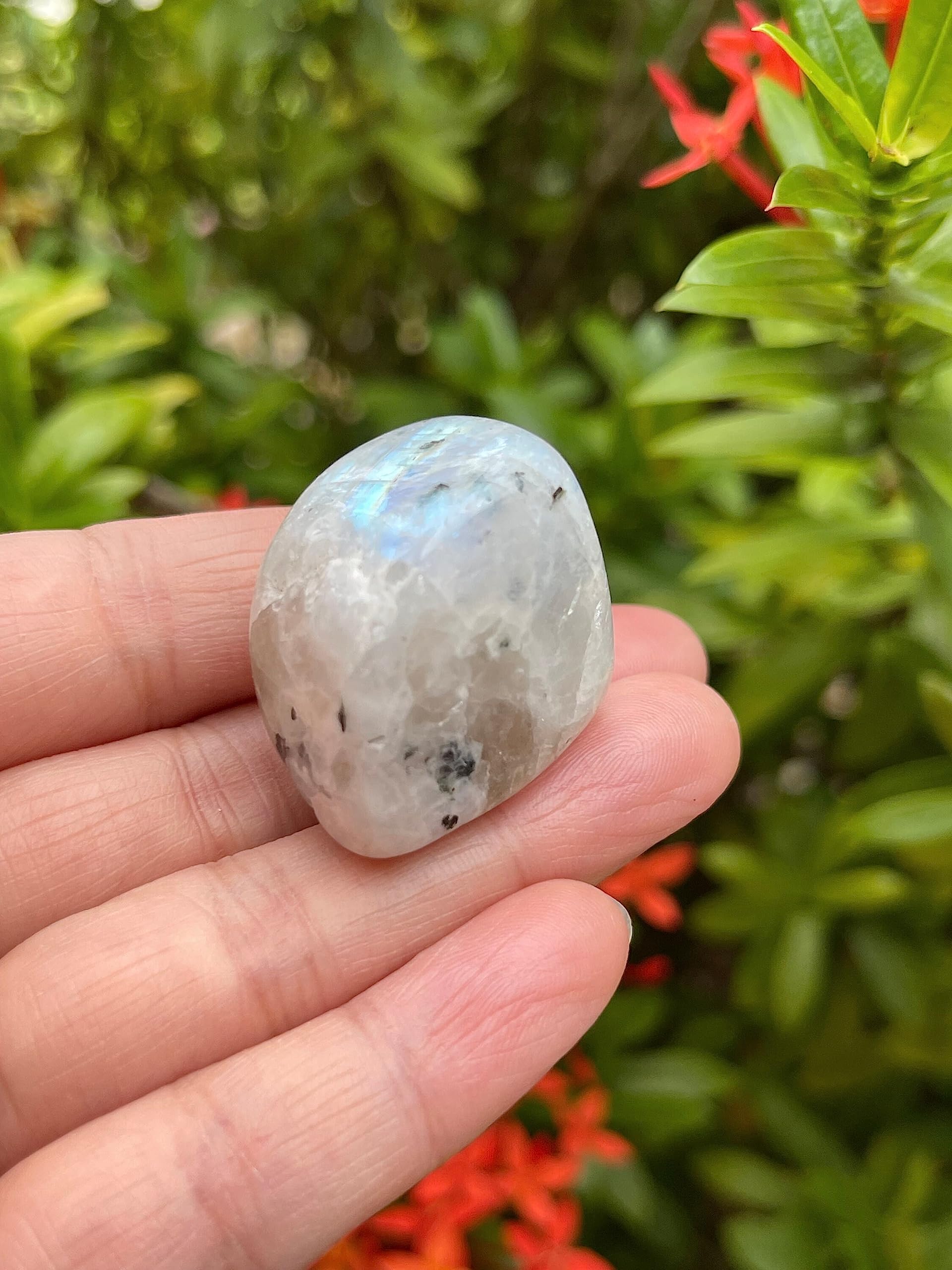 GAF TREASURES polished rainbow moonstone rocks ideal for meditation displays.