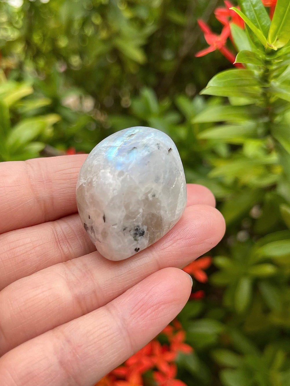 GAF TREASURES polished rainbow moonstone rocks ideal for meditation displays.