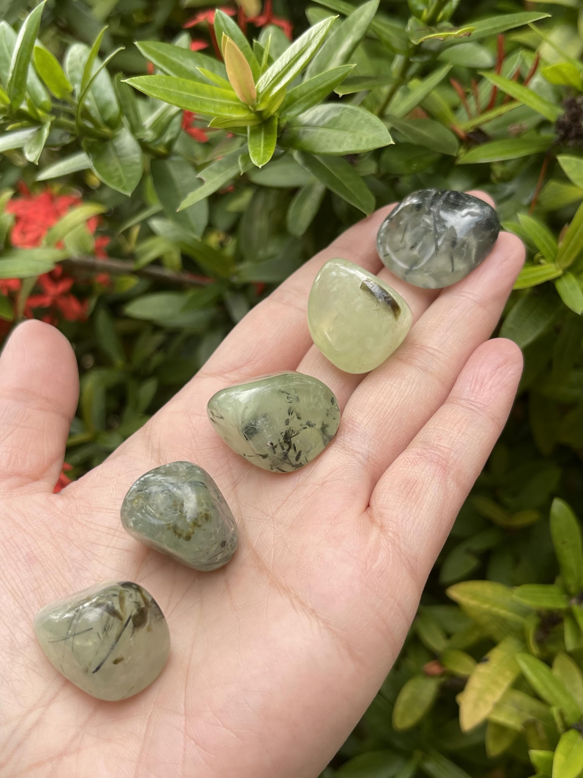 GAF TREASURES prehnita con rutilo, piedra pulida para meditación y equilibrio.