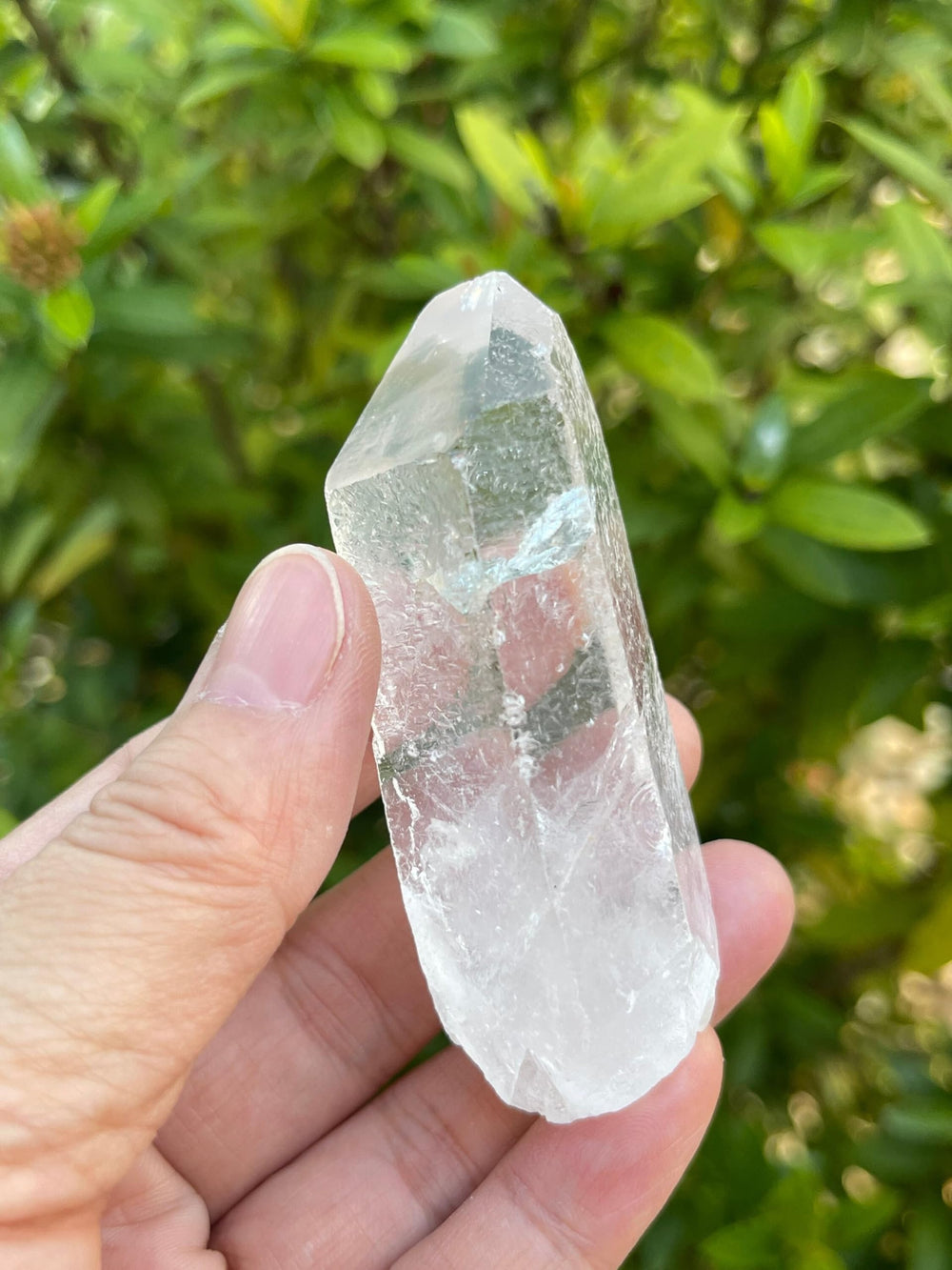 GAF TREASURES purity quartz point 2-3in supports versatile crystal setups.