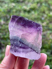 GAF Treasures Rainbow Fluorite rough stone showing vivid color bands for display and meditation