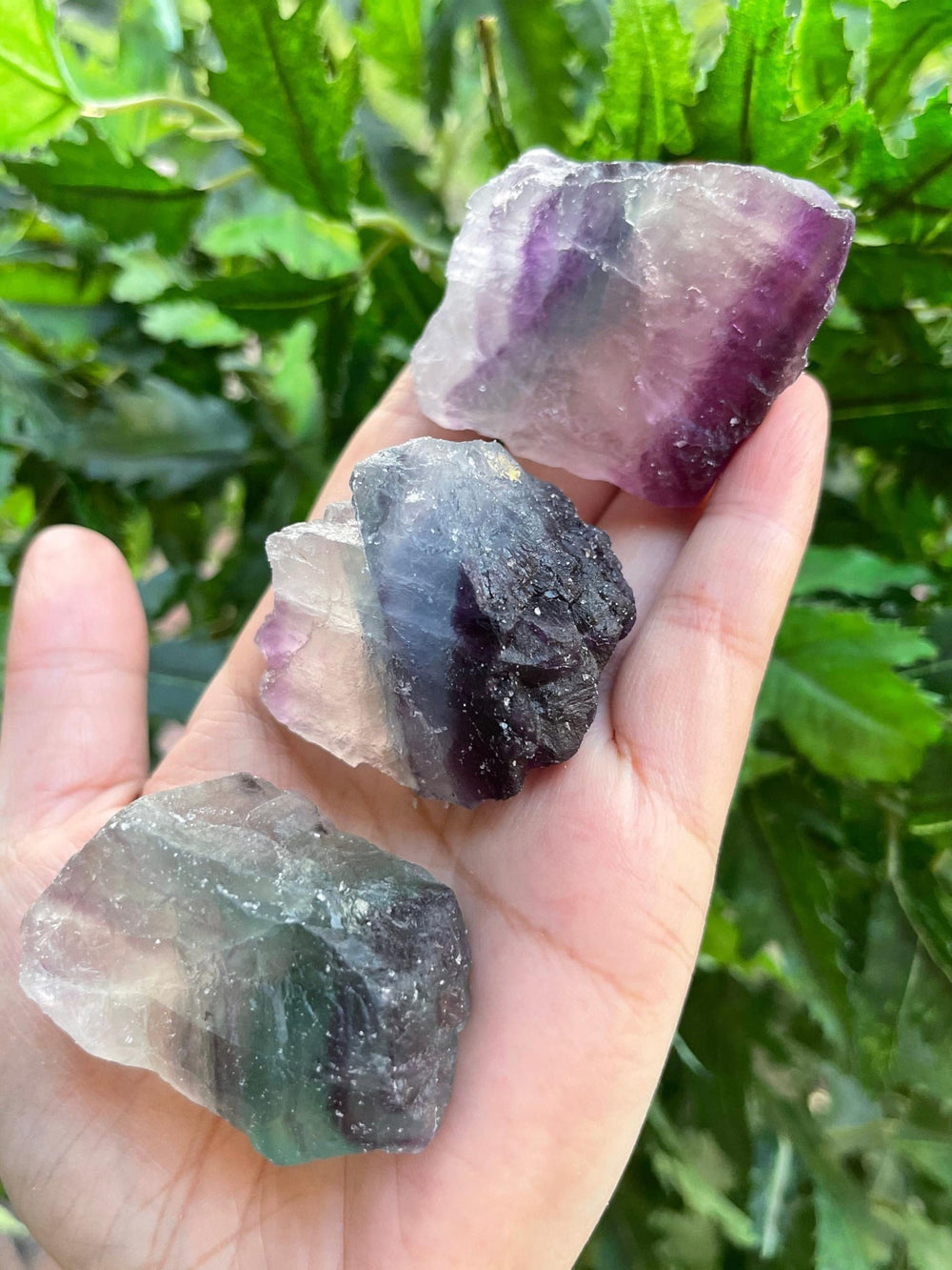 GAF Treasures large Rainbow Fluorite rough stone highlights natural texture for collection
